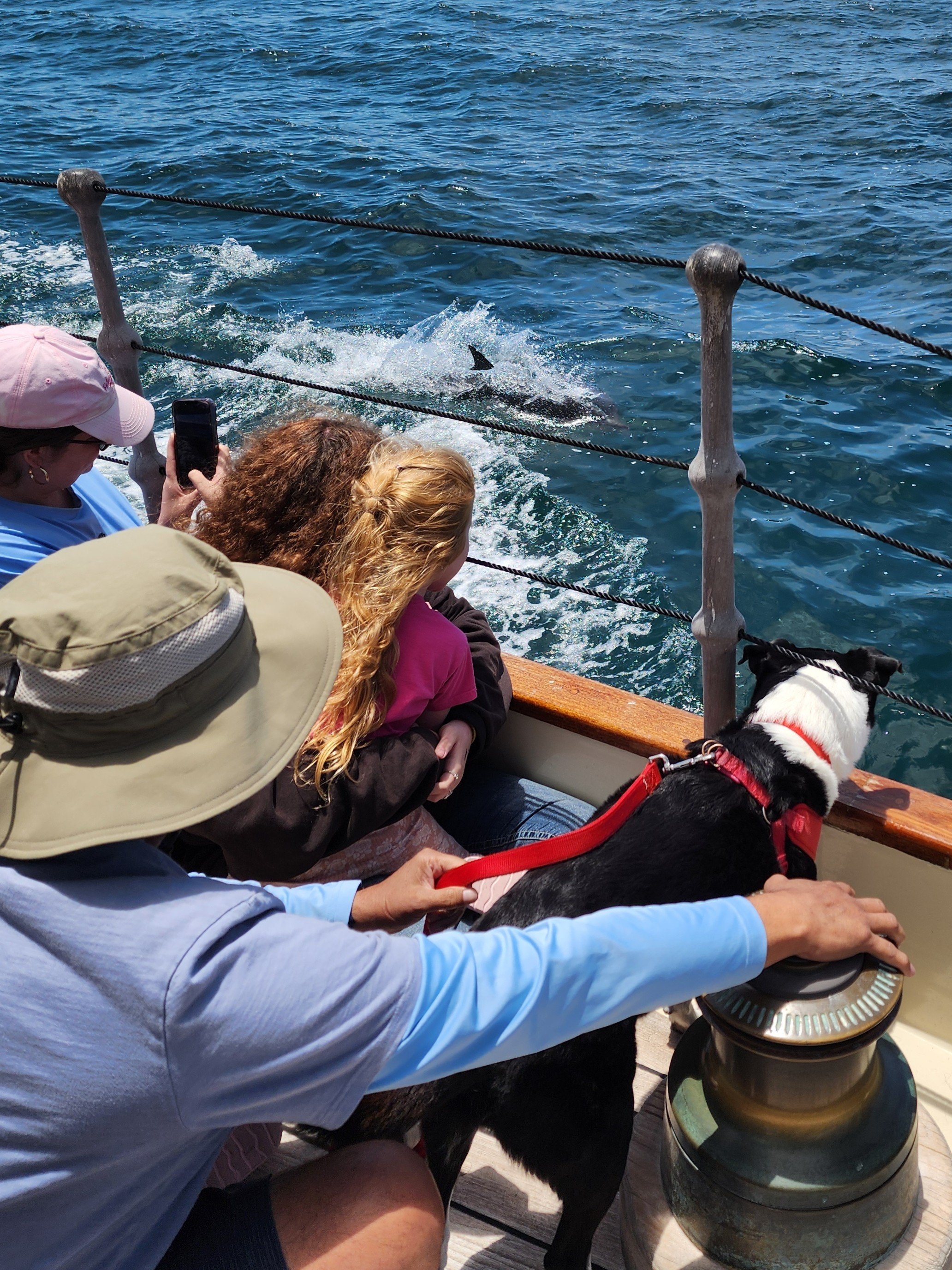 Staycation in San Diego: When the Whole Family Comes to Visit