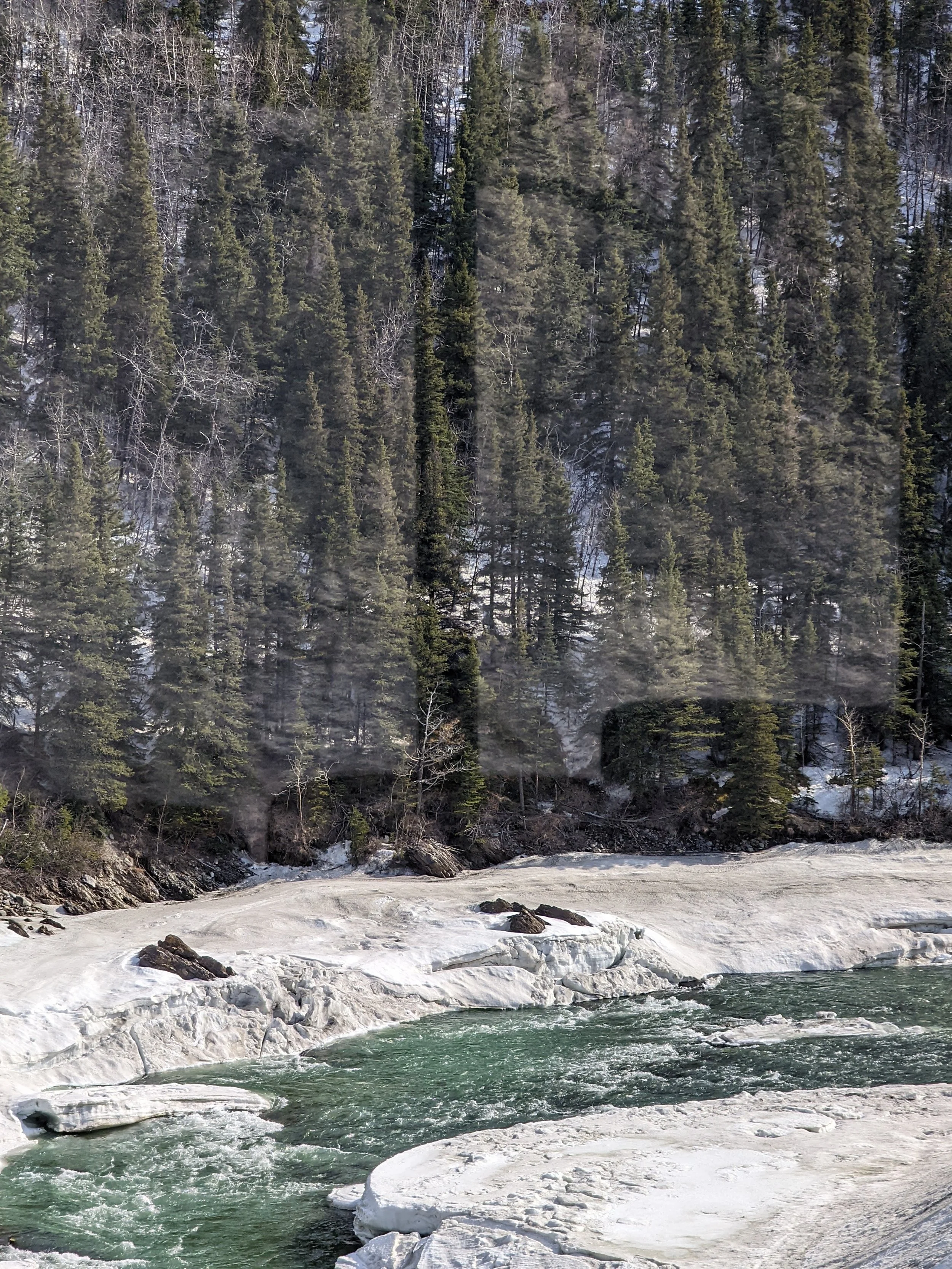 Chasing Northern Lights and Nostalgia in Fairbanks, Alaska