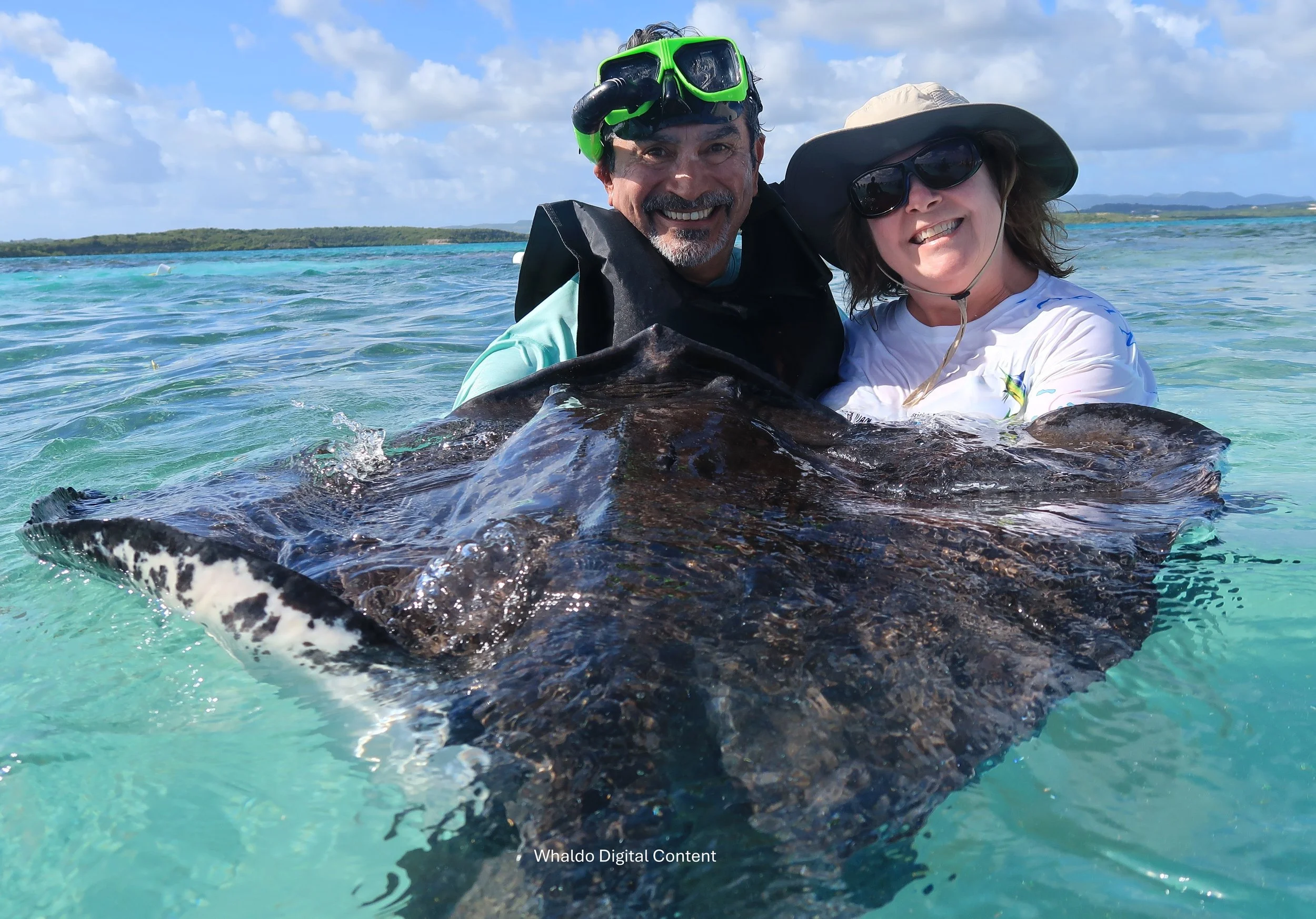 Whaldo's  & Stingray.JPG