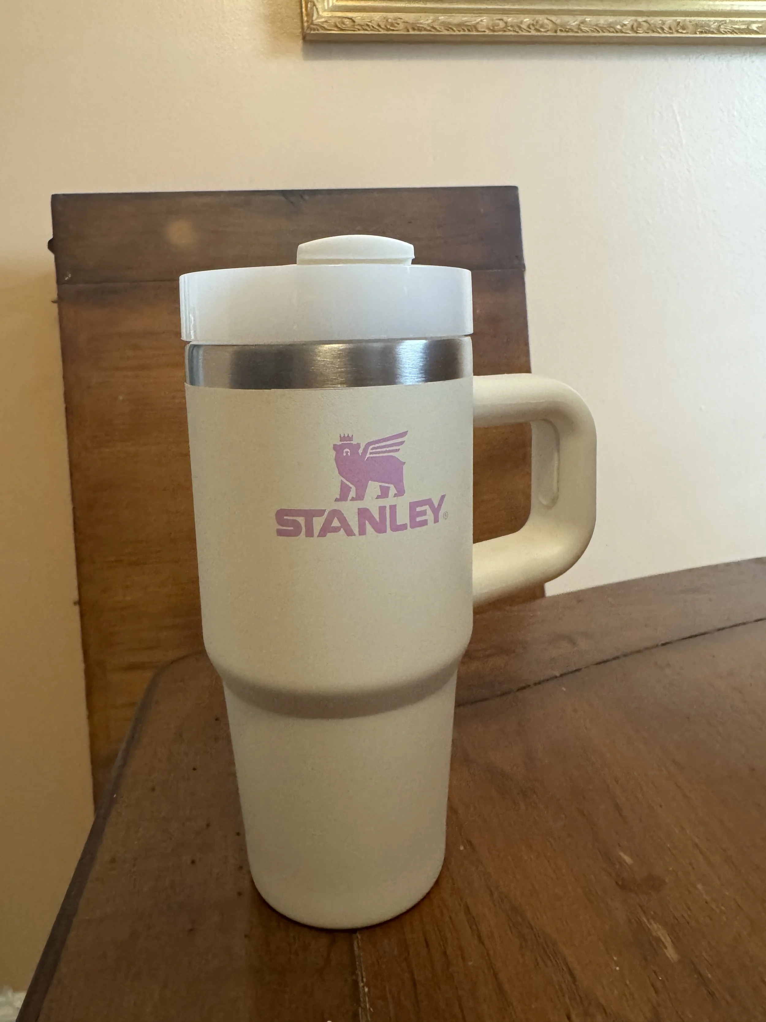 18 oz. Kid's Stanley
