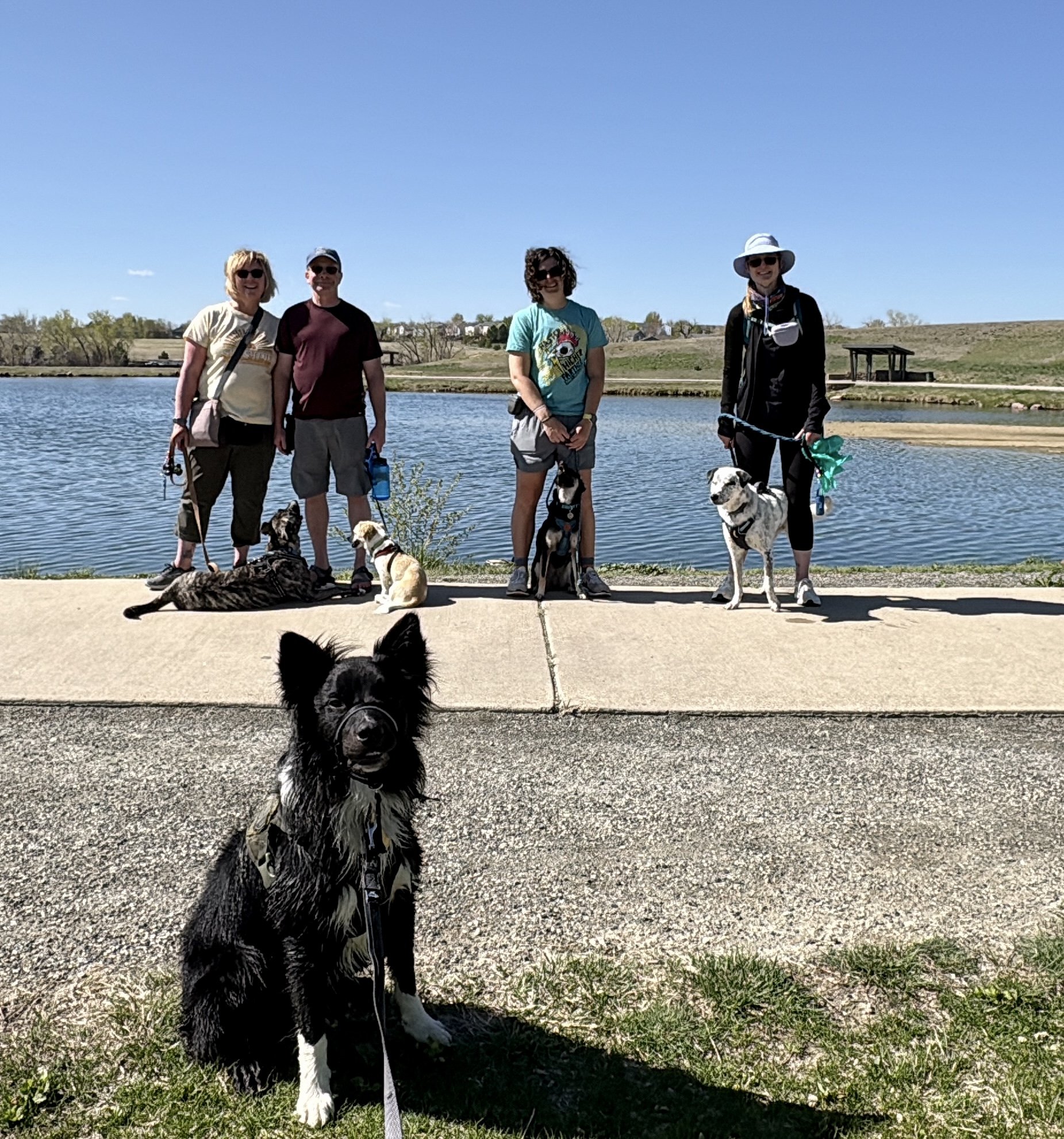 Ralston Roost via Black Bear and Horseshoe Loop