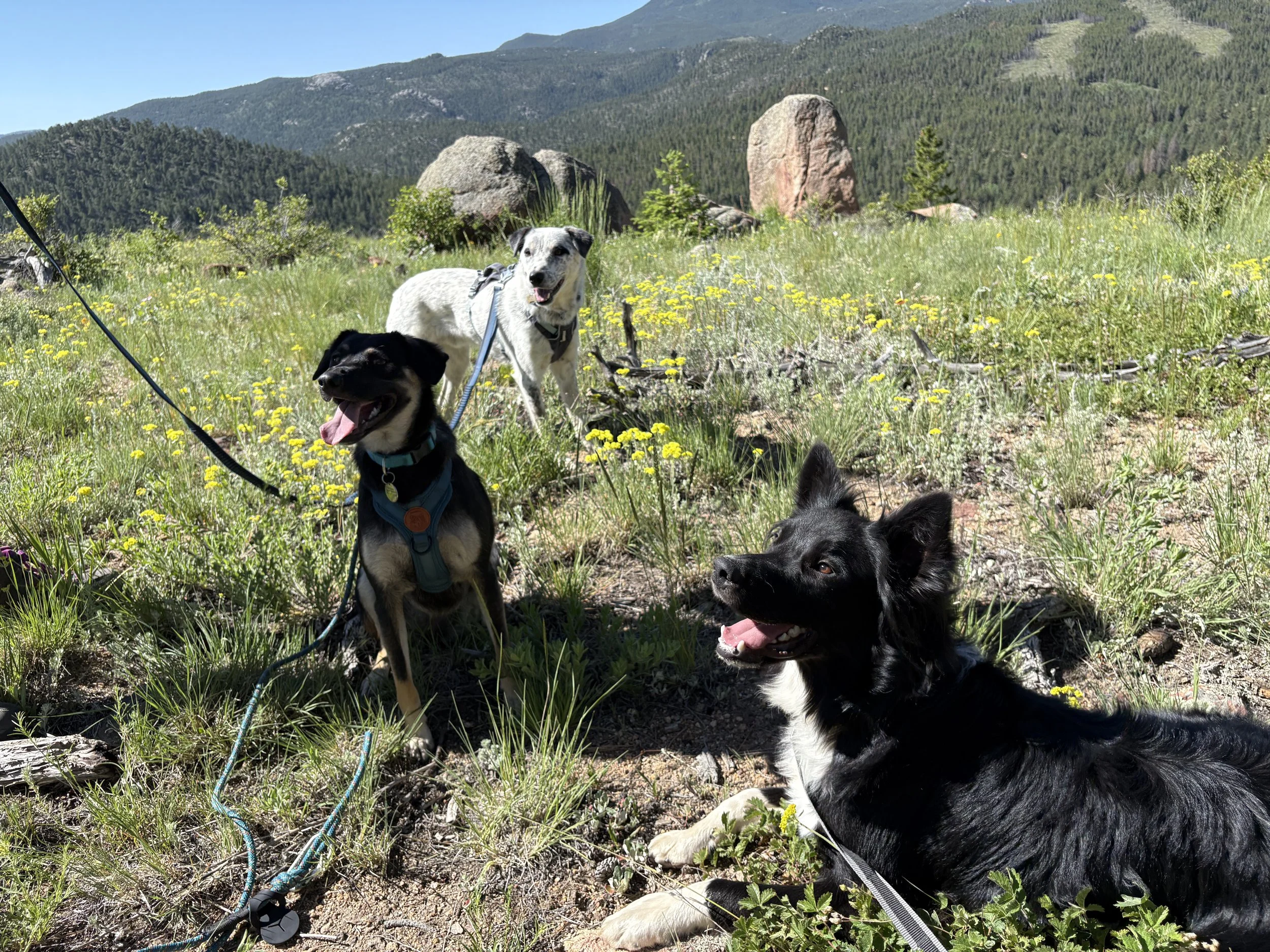 Pack Hike