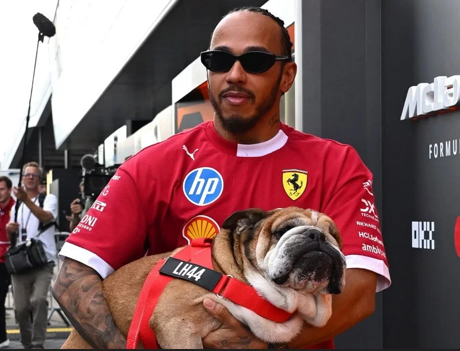 For those that don&rsquo;t know, I&rsquo;m a huge F1 fan. Today I woke up to some news about a true F1 legend &mdash; Roscoe, the beloved companion of 7-time world champion @lewishamilton . Roscoe has brought so much joy to fans all over the world wi