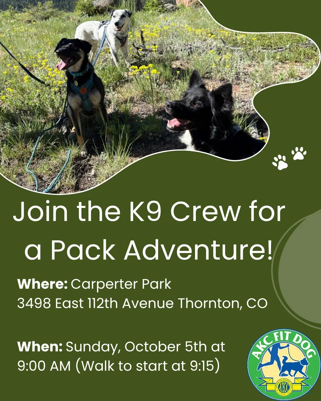 Pack Adventure time!
We&rsquo;re hitting Carpenter Park this Sunday (Oct 5) at 9 AM for a group walk.

This one&rsquo;s extra friendly for our reactive pups (but all dogs are totally welcome!). Think wide trails, sniff breaks, real-life distractions,