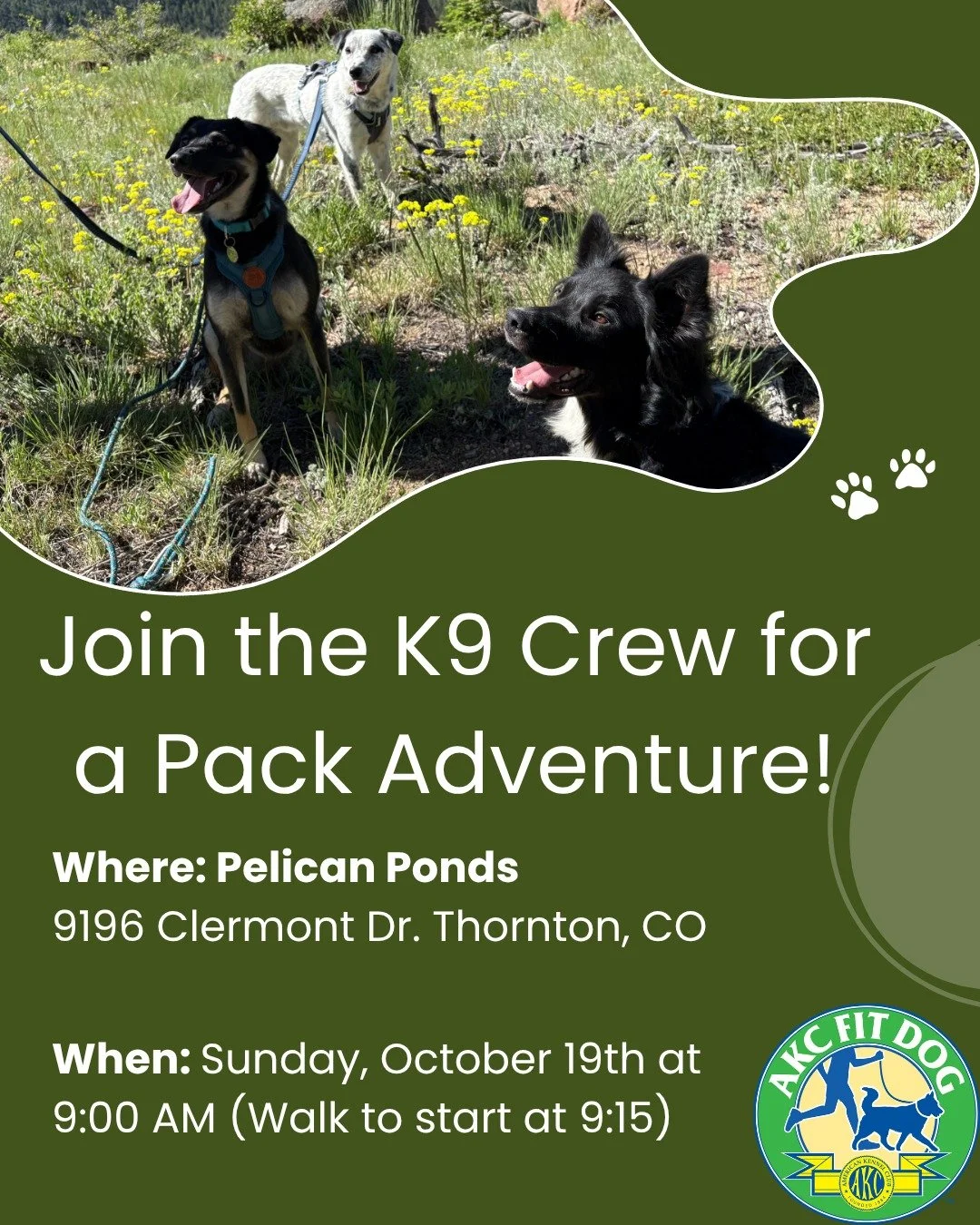 Hey K9 Crew! 
We&rsquo;re walking this Sunday, Oct 19th @ 9 AM &mdash; Pelican Ponds Open Space!

All pups (even the dramatic &amp; spicy ones) are welcome. Let&rsquo;s get some fresh air, good vibes, and calm leash practice! 
#woofherodogtraining #p