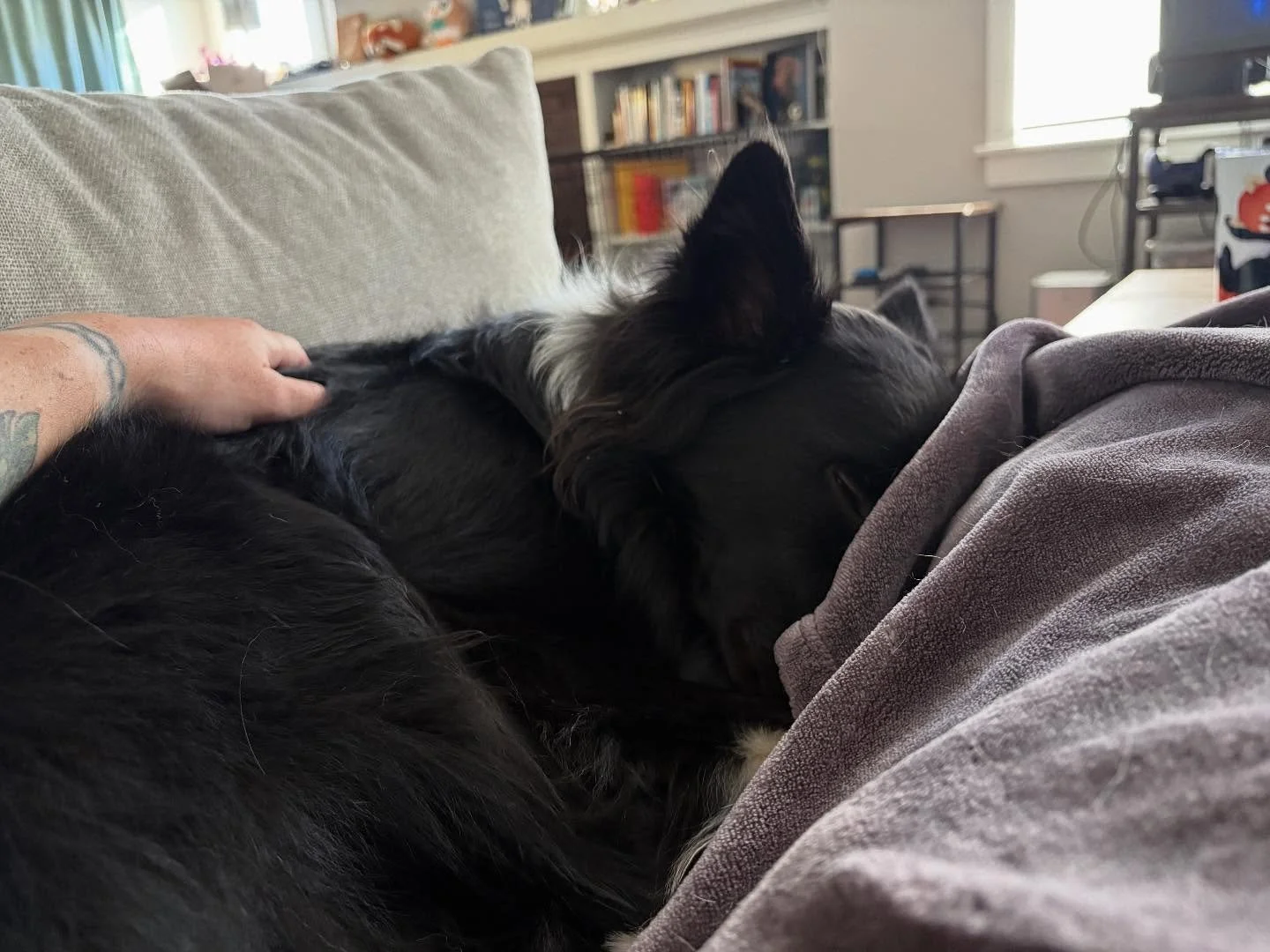 I&rsquo;m baaaacccckkkkk! Do you think he missed me?! Let&rsquo;s get training!