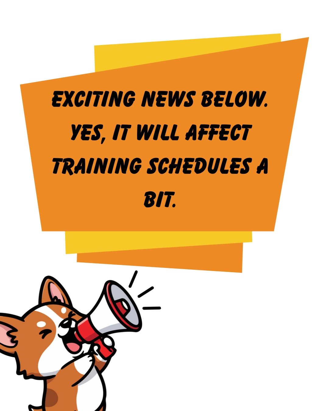 Hey K9 Crew! I&rsquo;ve got some fun news. I just started a part time gig as a behavior trainer at a local shelter, AND I&rsquo;m officially starting my Masters in Applied Animal Behavior &amp; Welfare at Husson University. I&rsquo;ll be getting tons