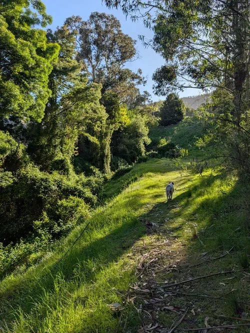 Cartwright Point Reserve