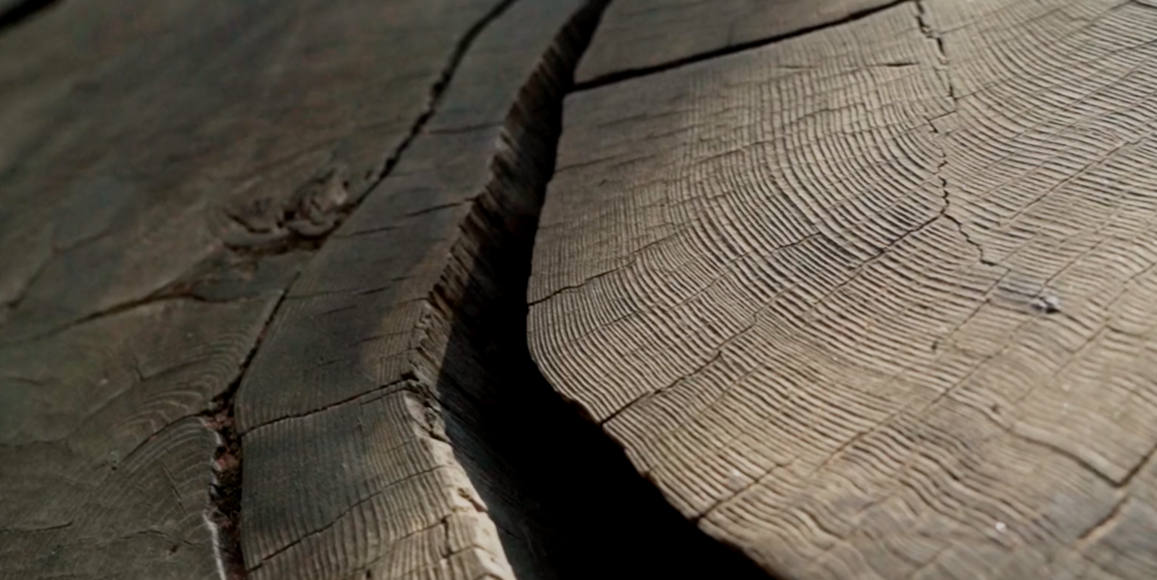 Screenshot 2025-07-14 at 9.49.32 PM.png