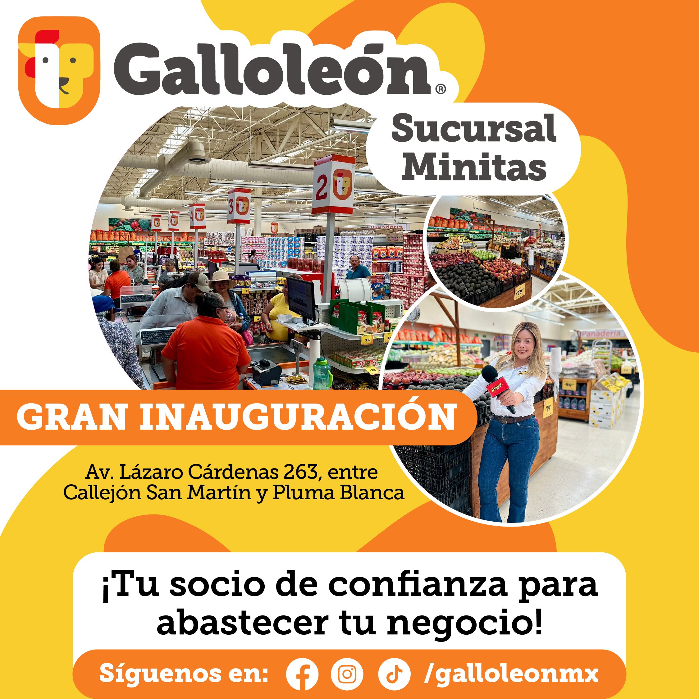 Posteo_Gallolleon.jpg