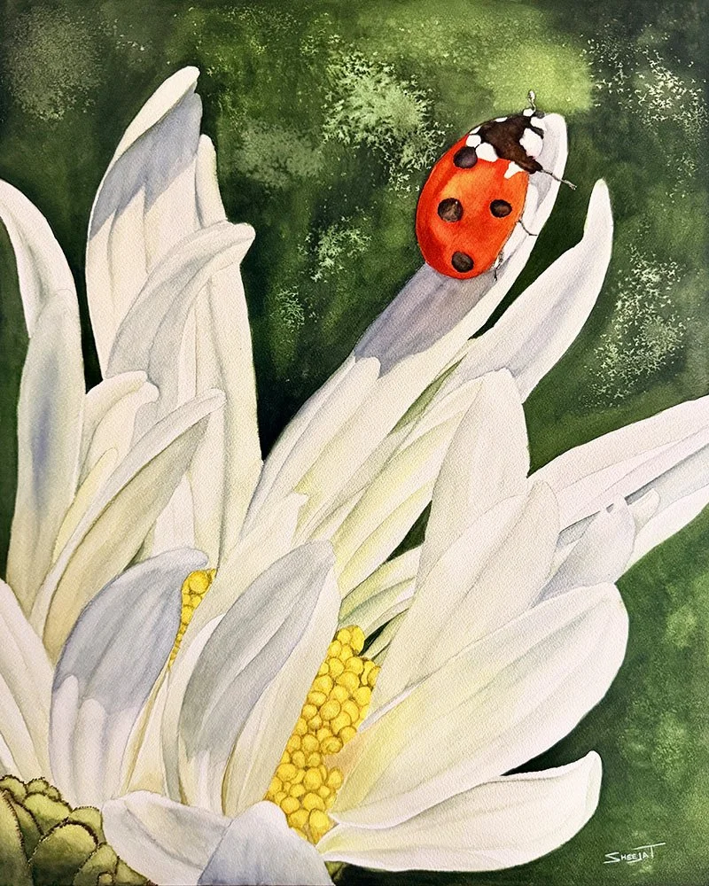 Ladybug White v2.jpg