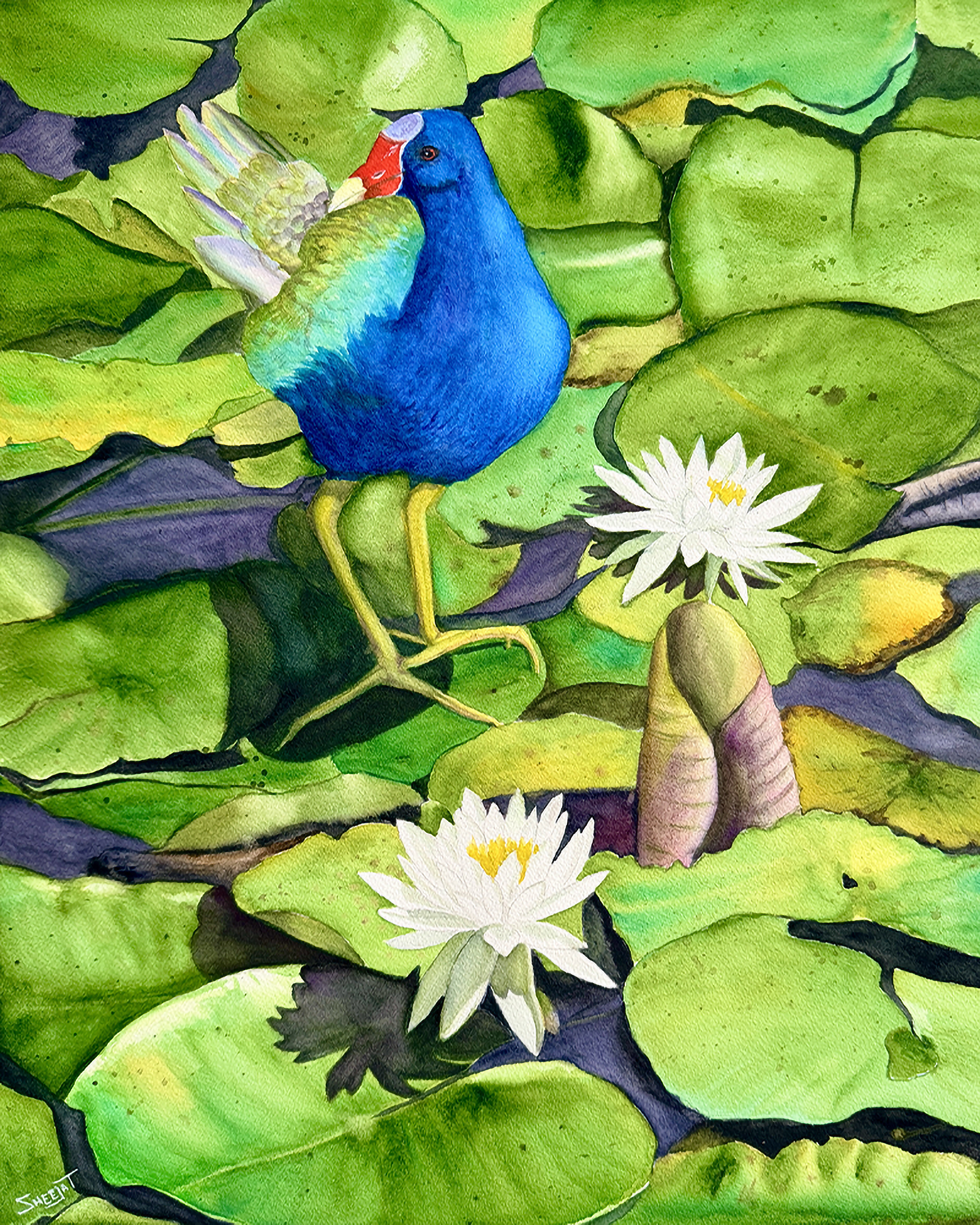 Bird Lotus.png