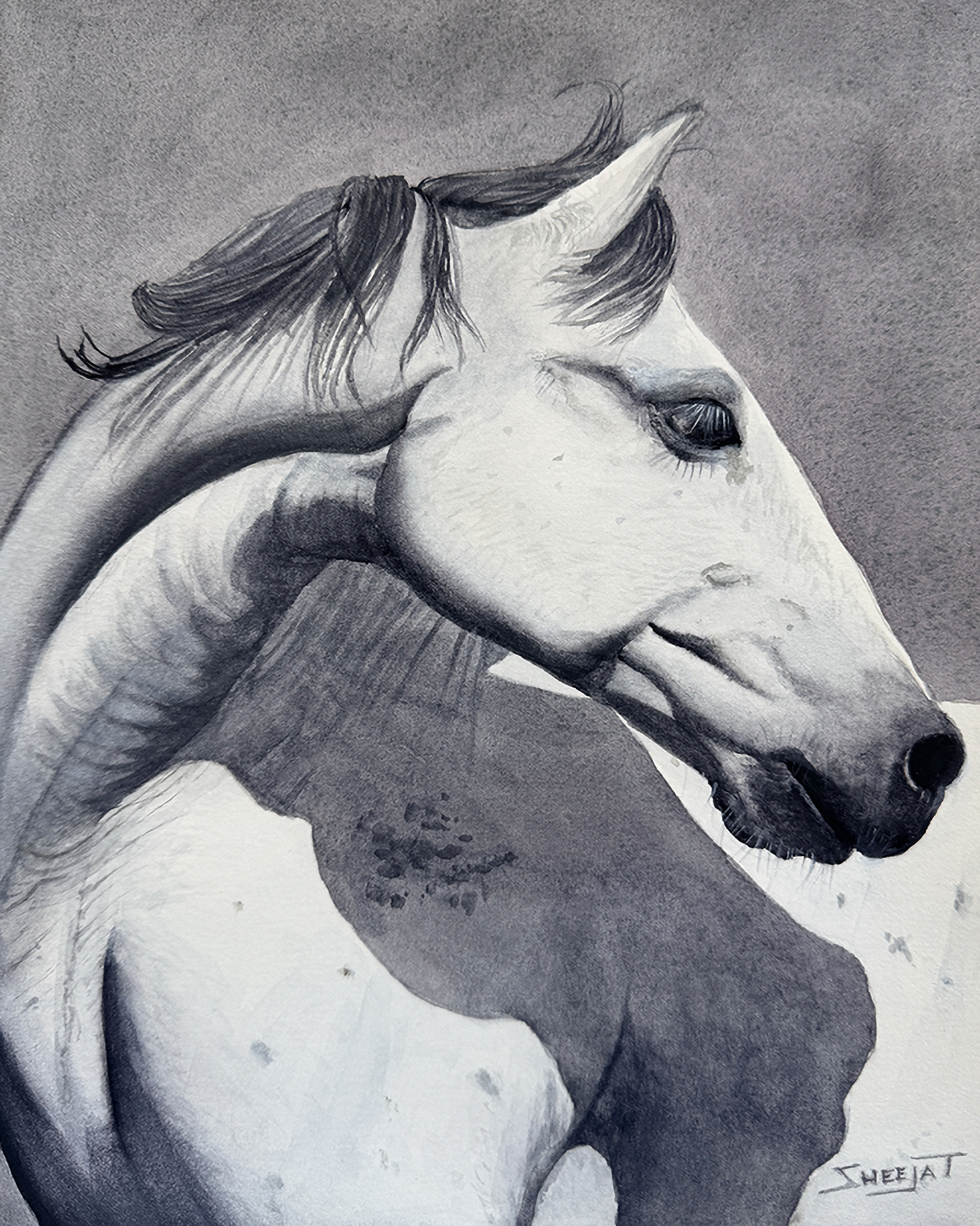 Horse 9x12.png