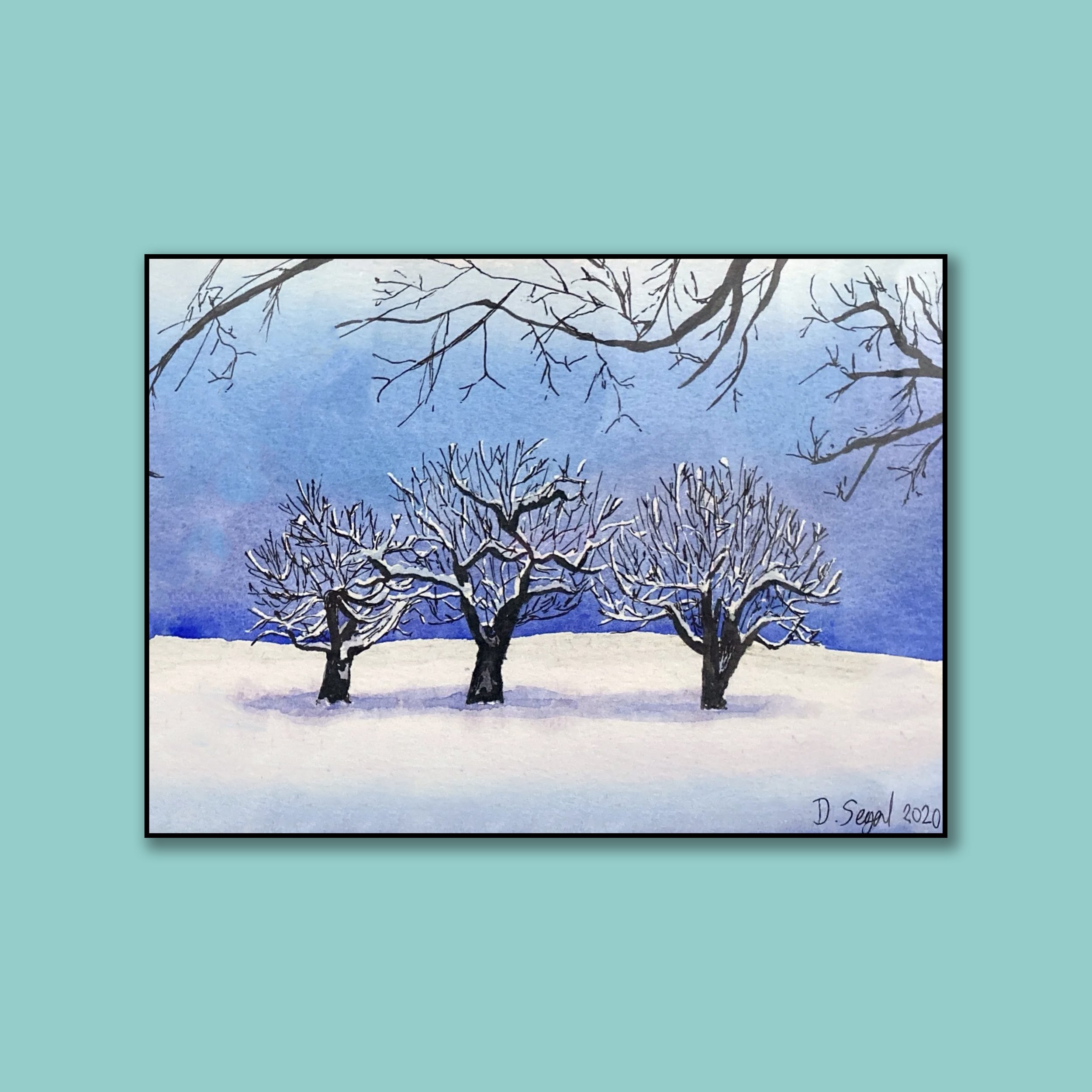 Quiet After a Winter Storm