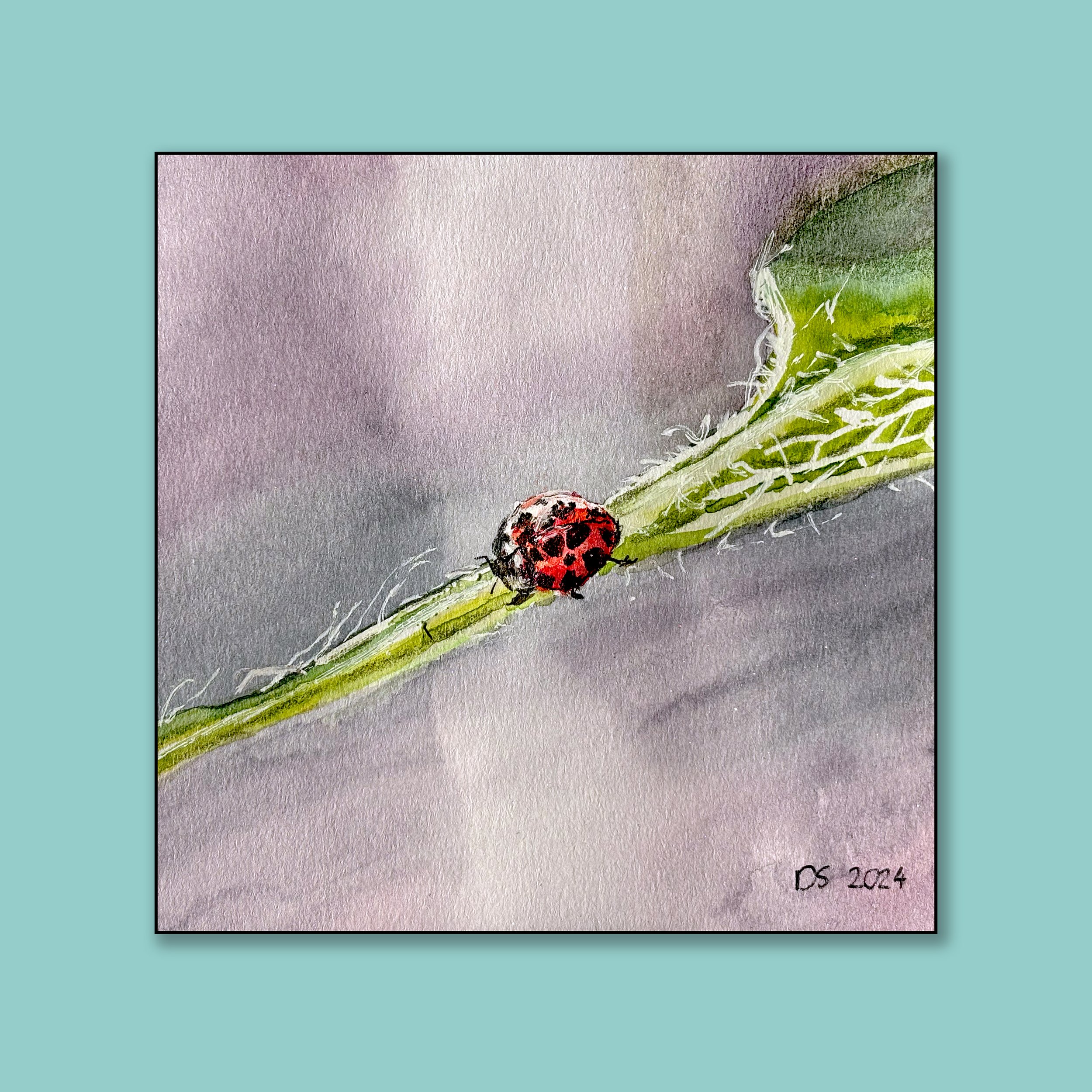 Ladybug on a Leaf