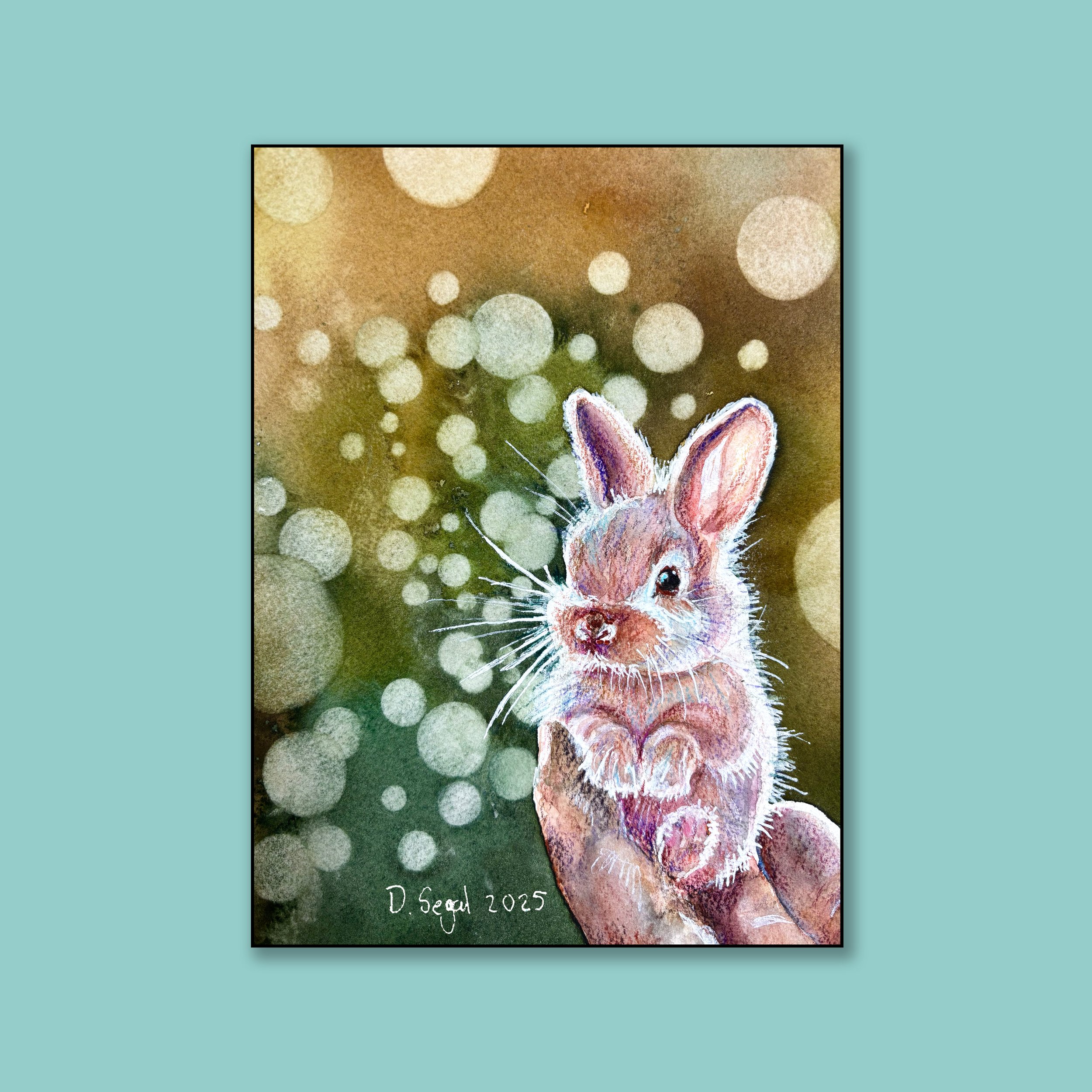 Newborn Bunny