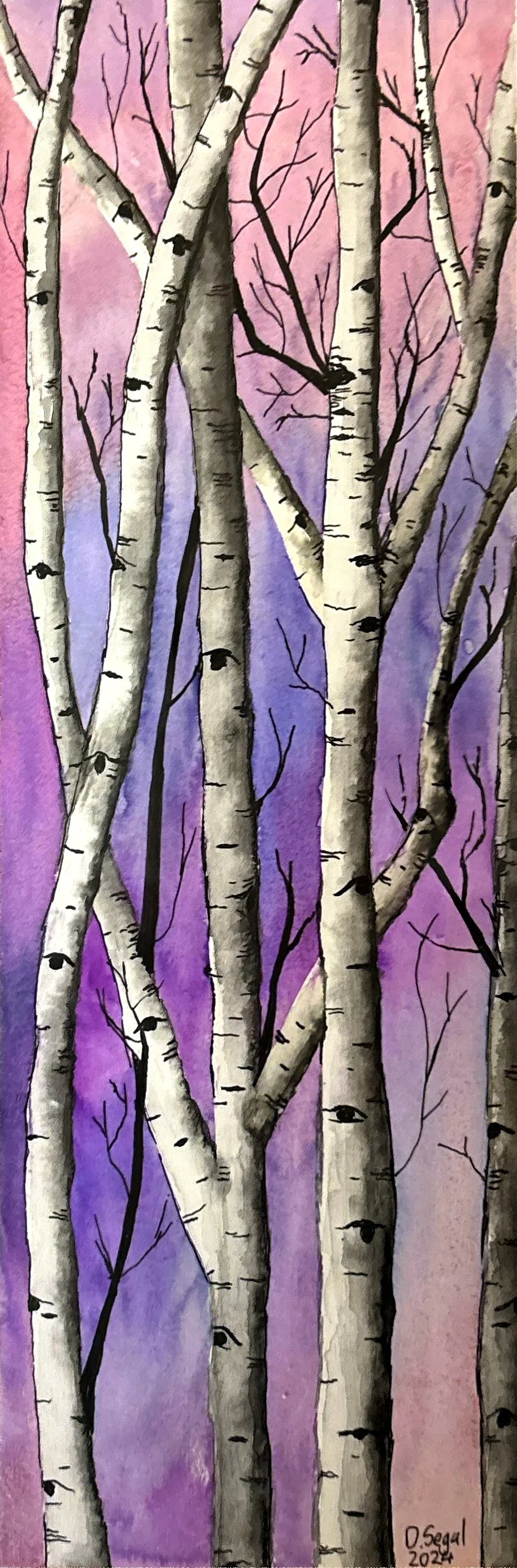 Purple Birch Trees.jpg