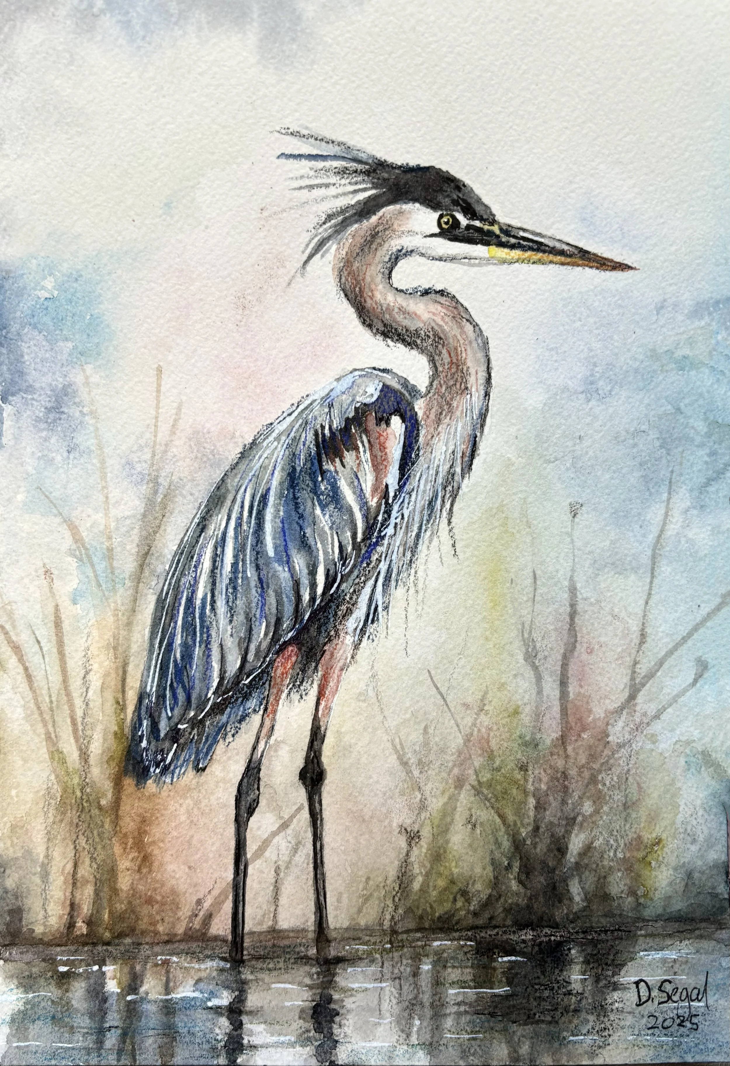 Blue Heron.jpg