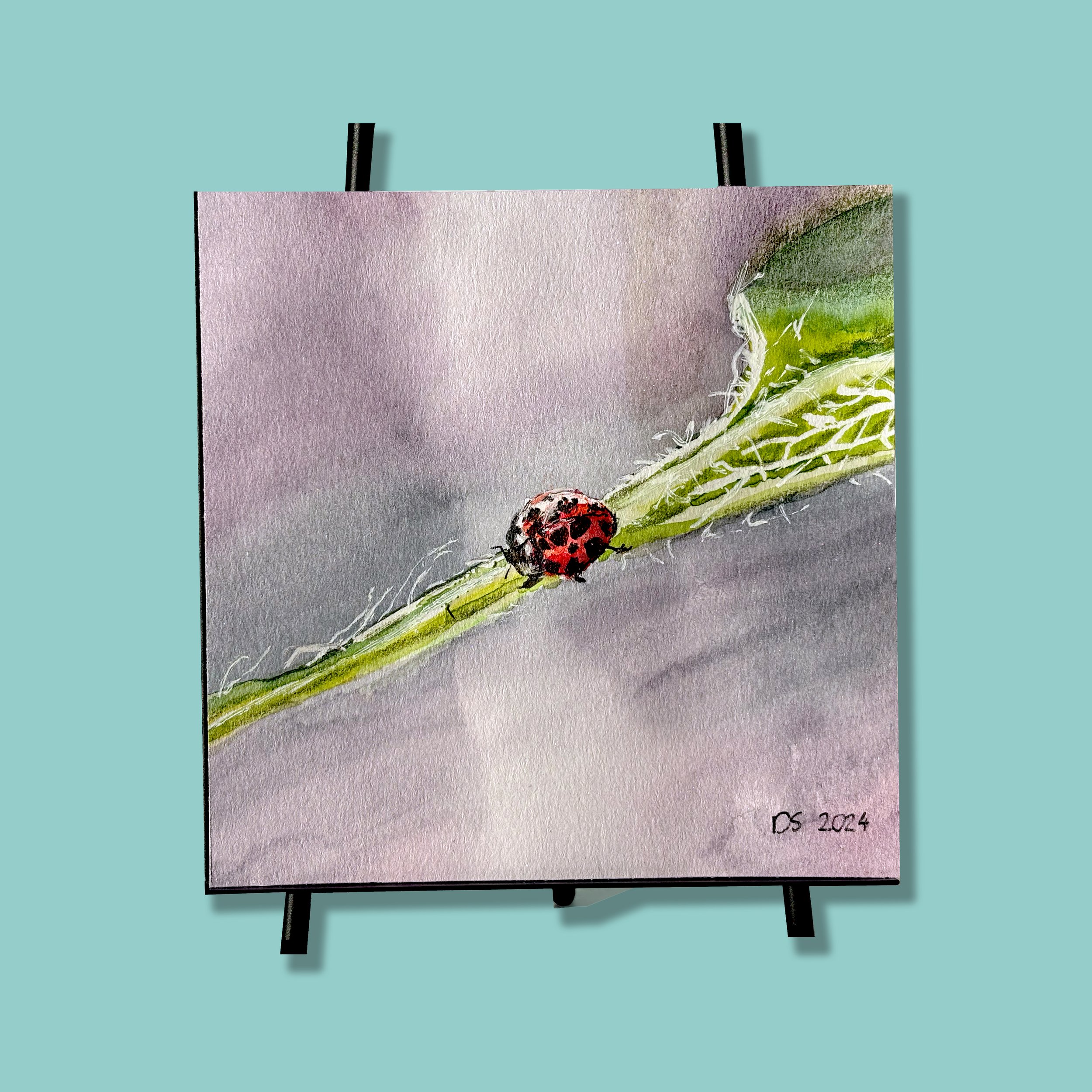 Ladybug on Leaf 2_b _for FLYBABY ART _in turqouise square.jpg