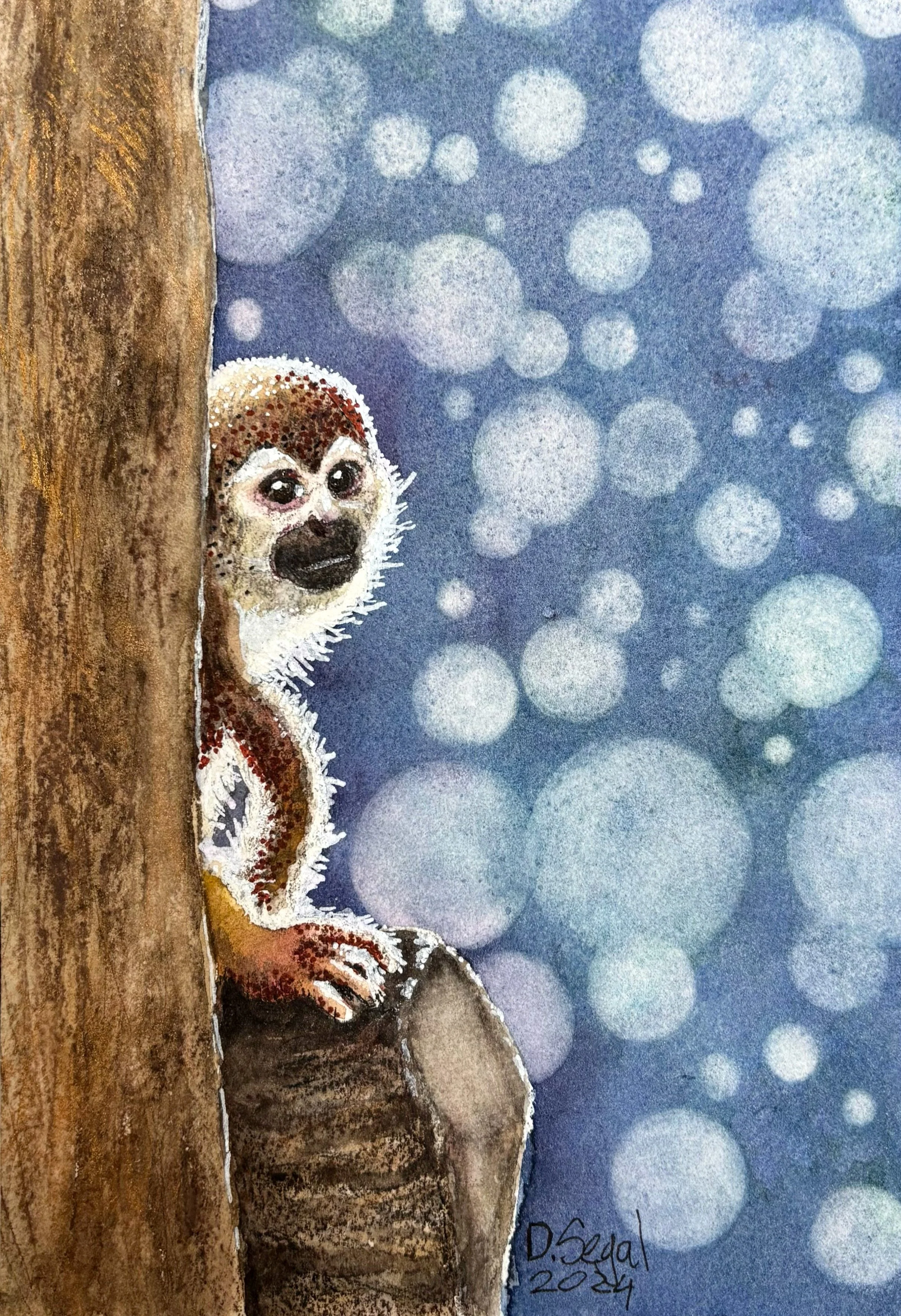 Squirrel Monkey.jpg