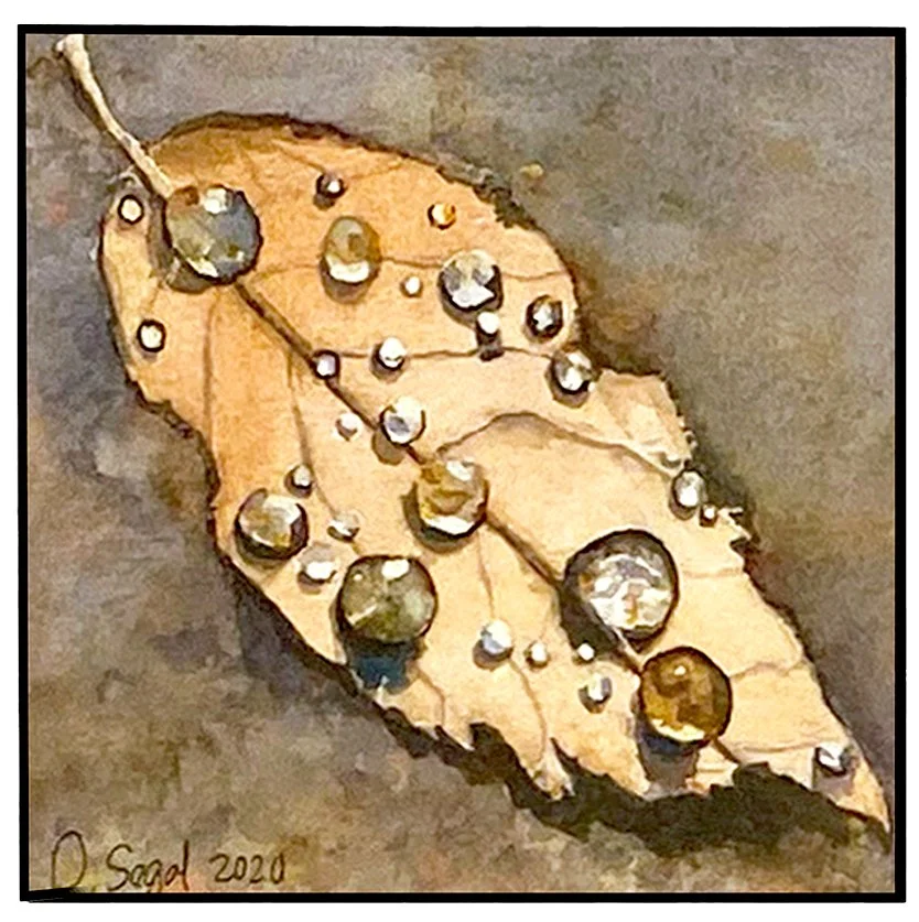 Small_%22MORNING TREASURES%22 by Deb Segal.jpg