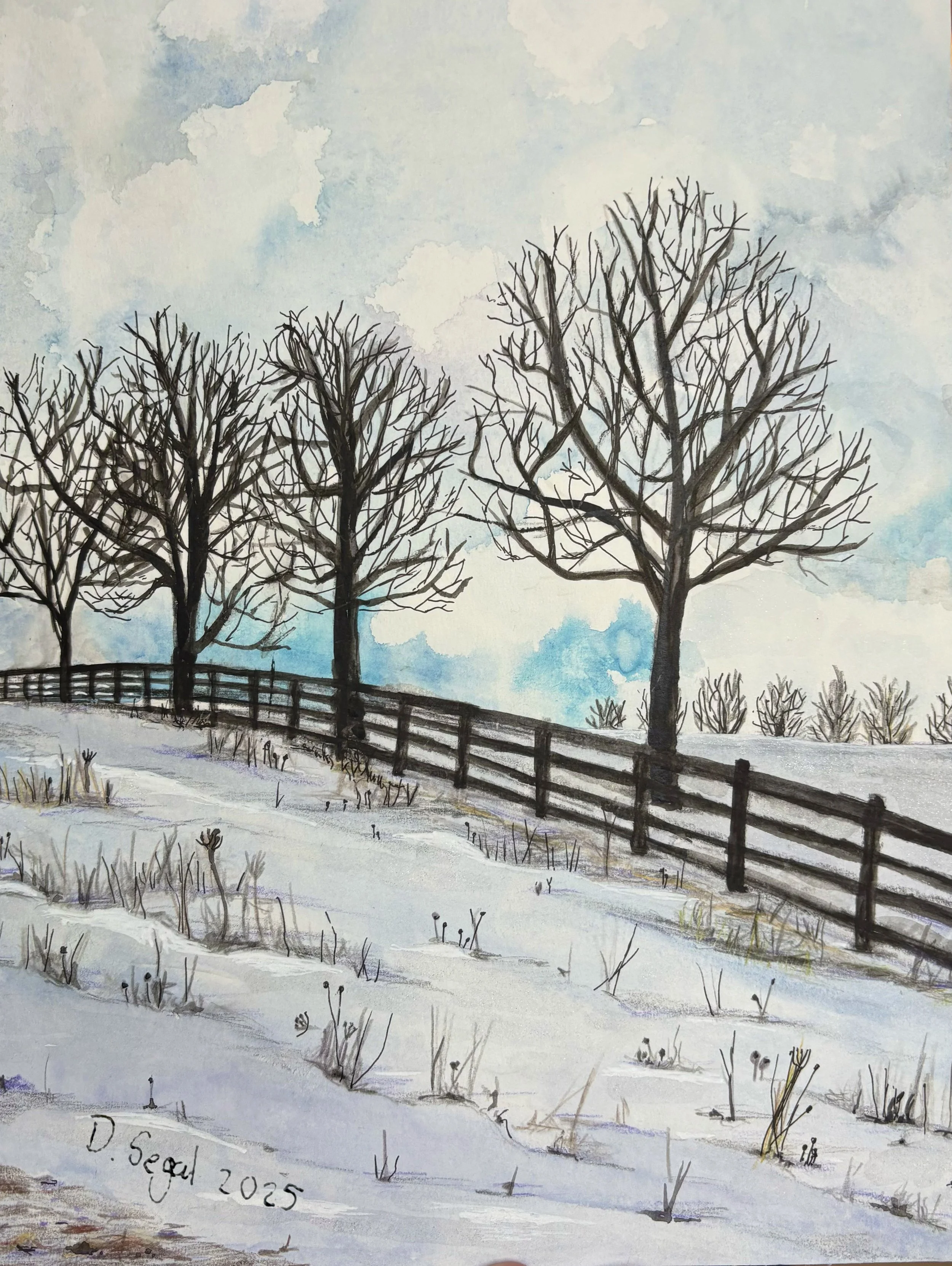 Calm Beyond the Frost.jpg