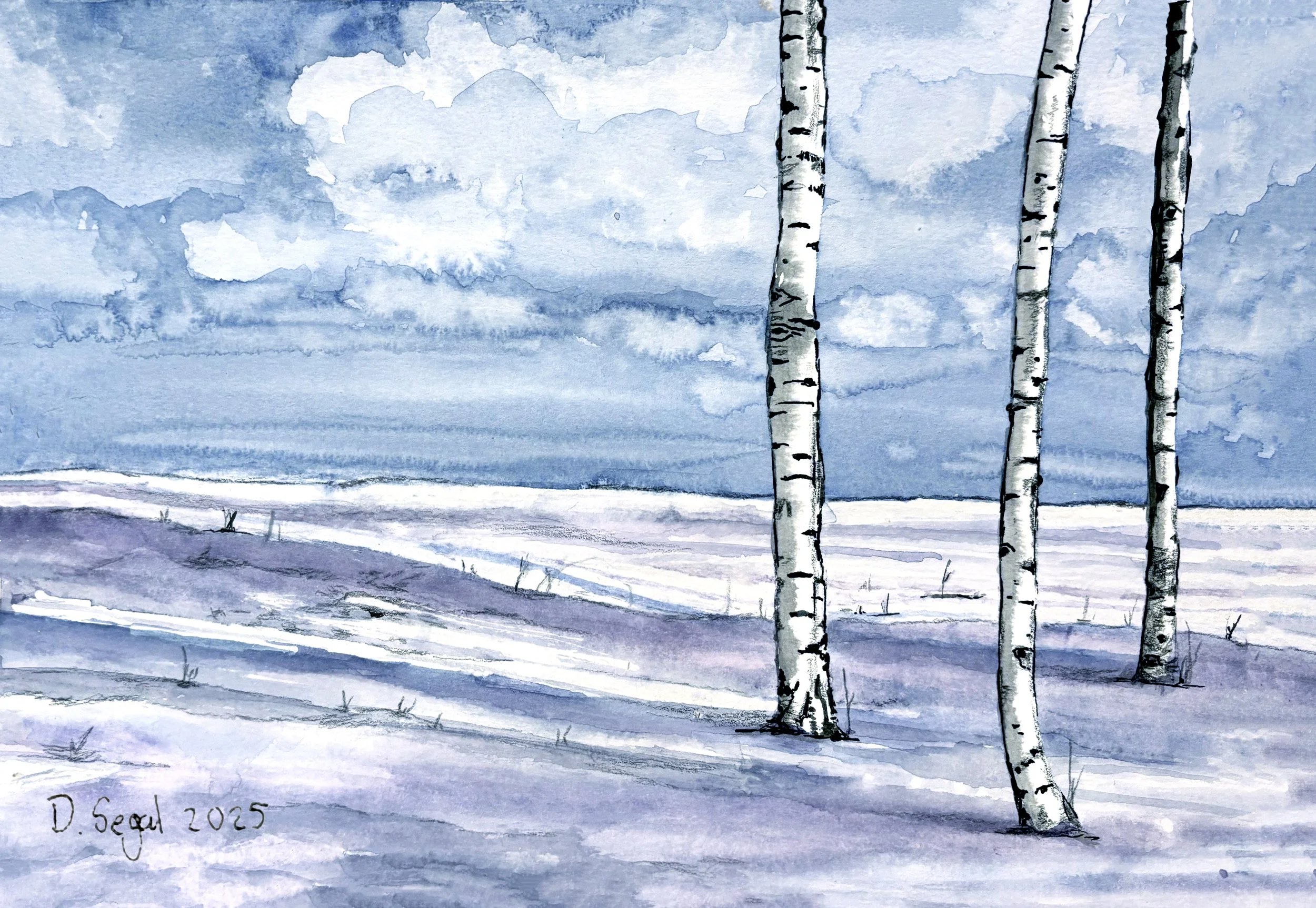 Barren Birch Scape.jpg