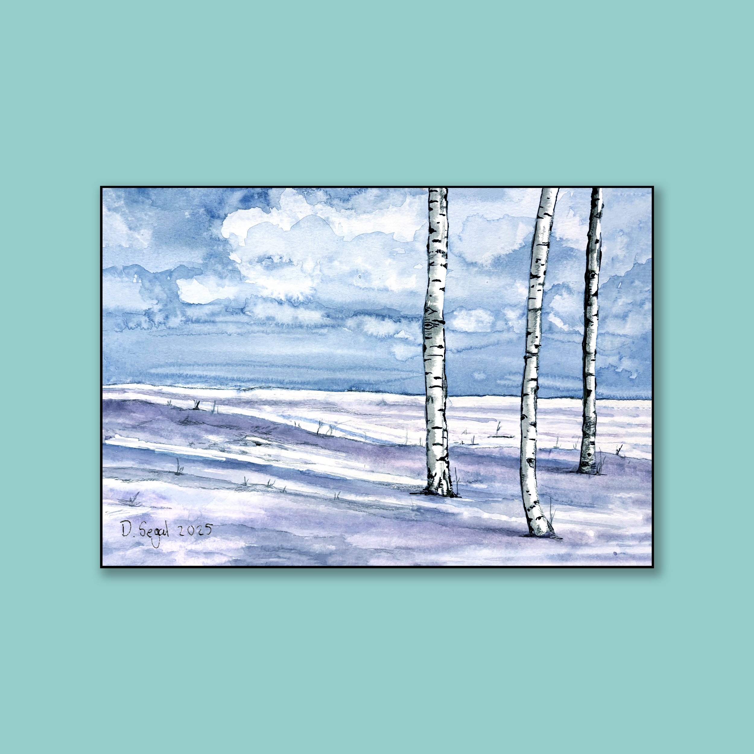 Canadian Winter Birch Scape
