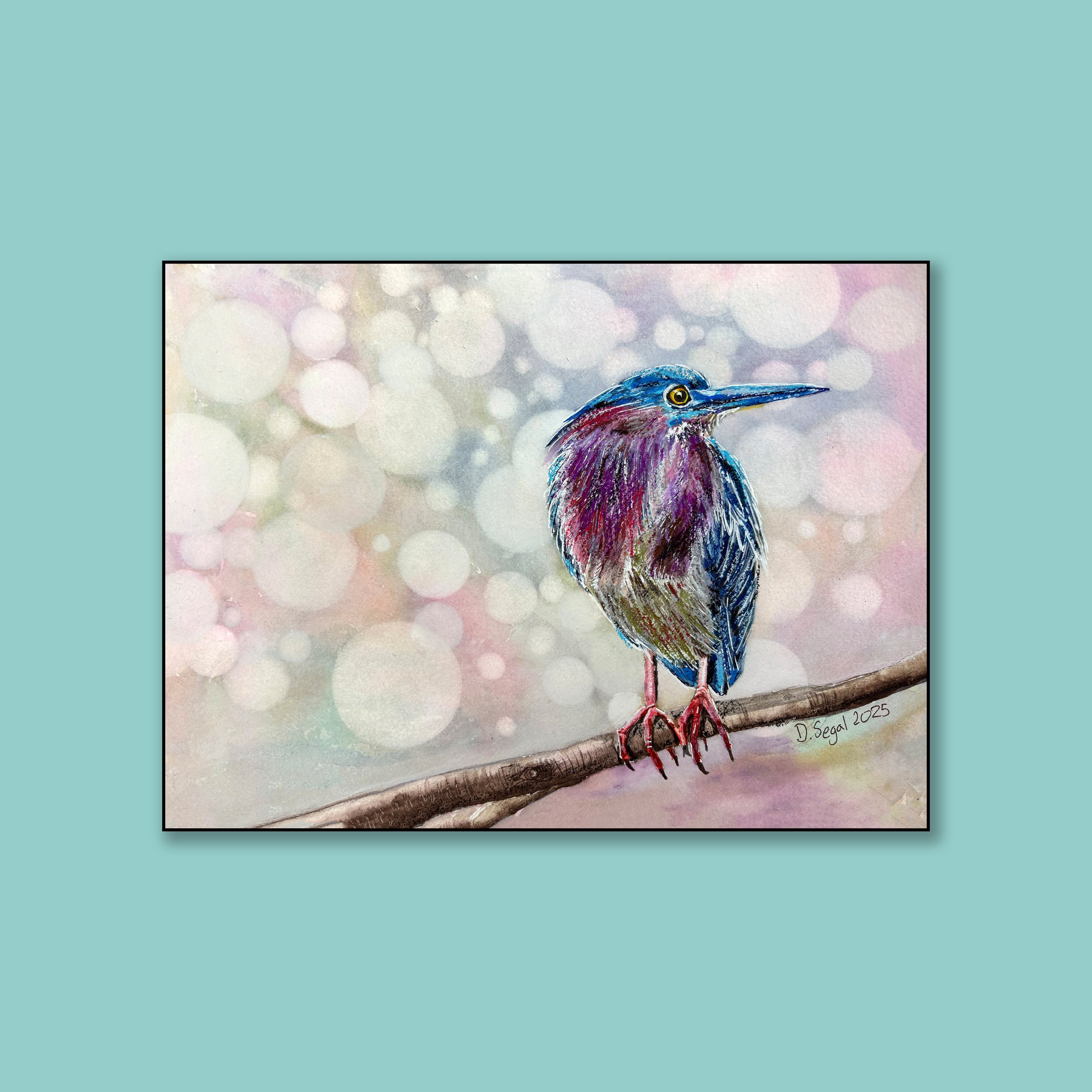 Green Heron