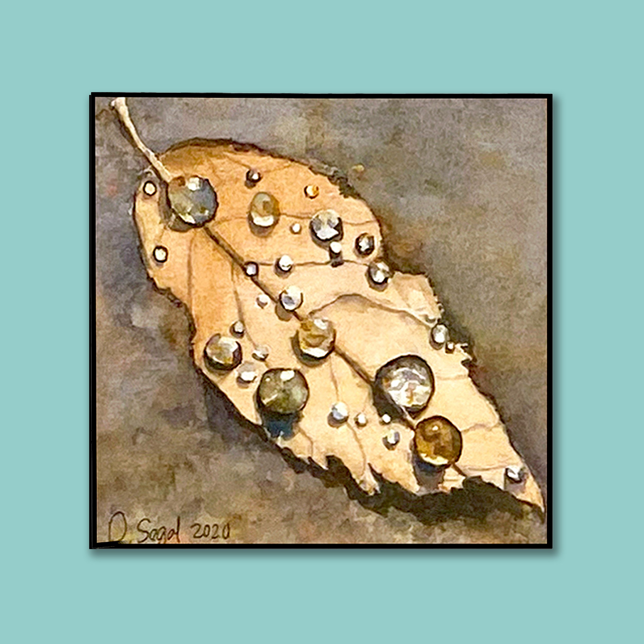 Rain Drops on an Autumn Leaf