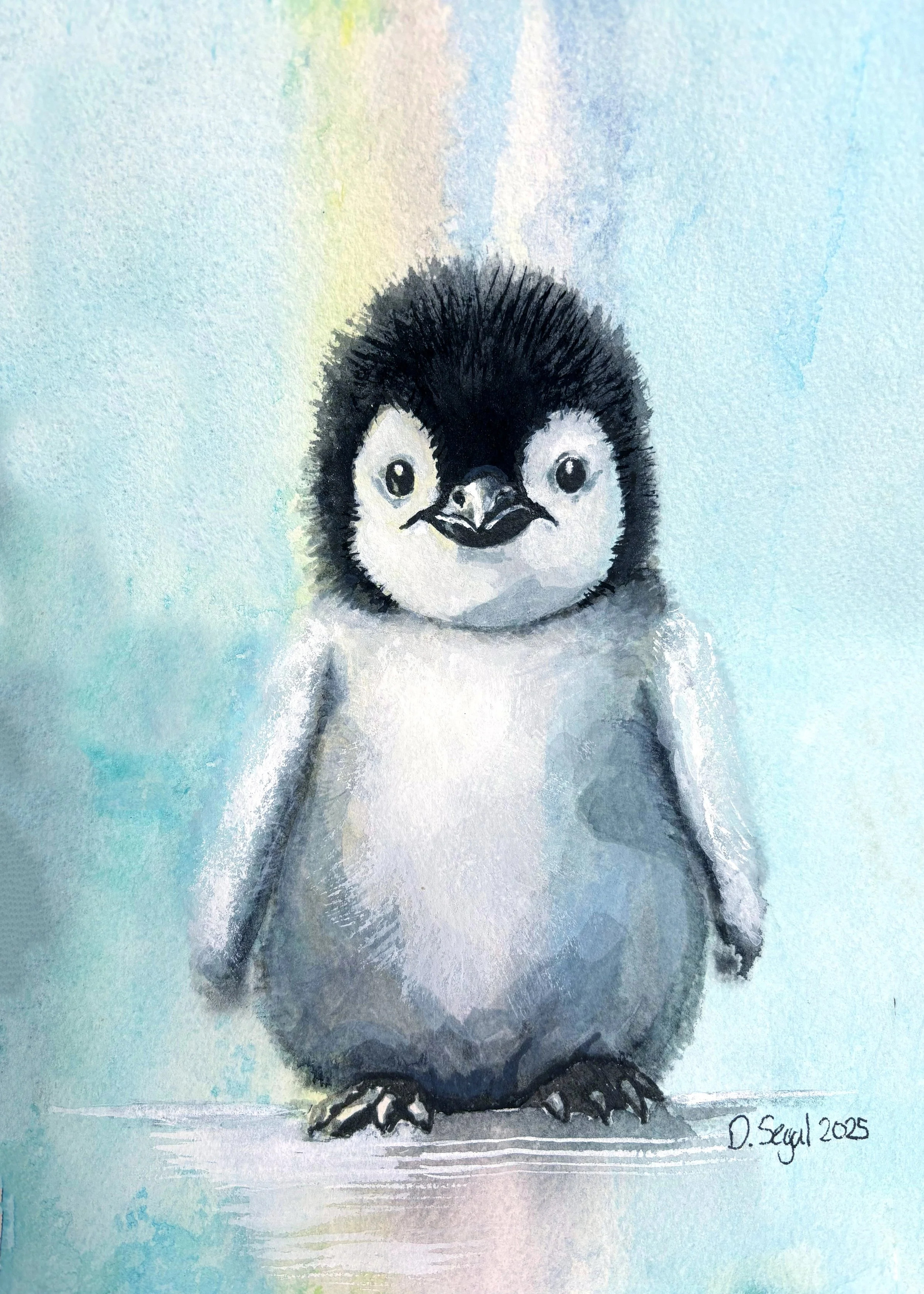 Baby Penguin_b.jpg