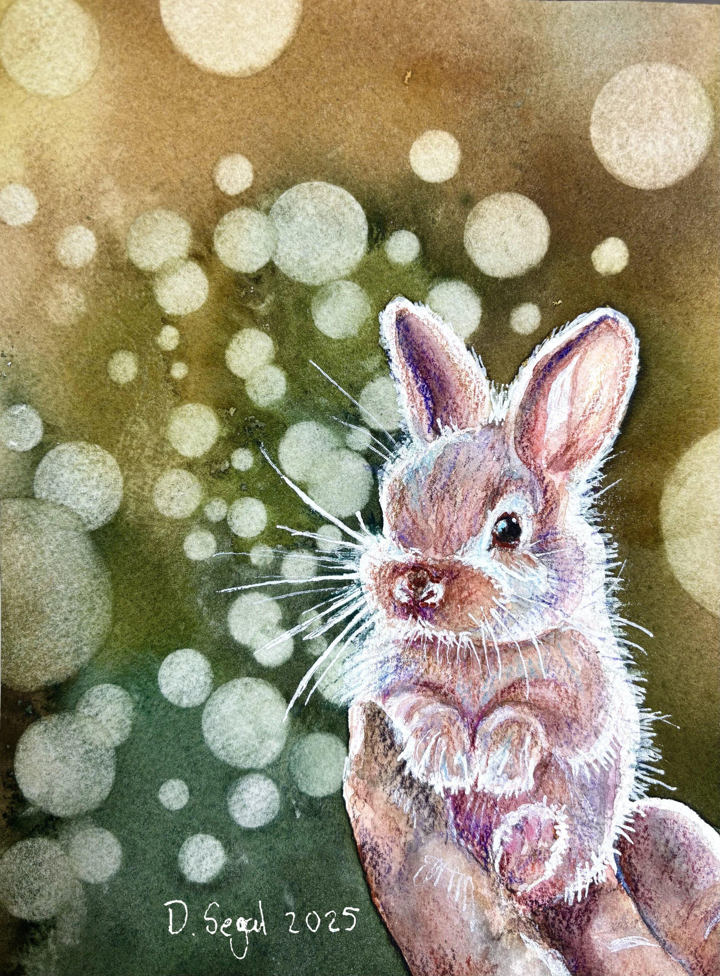 Newborn Bunny.jpg