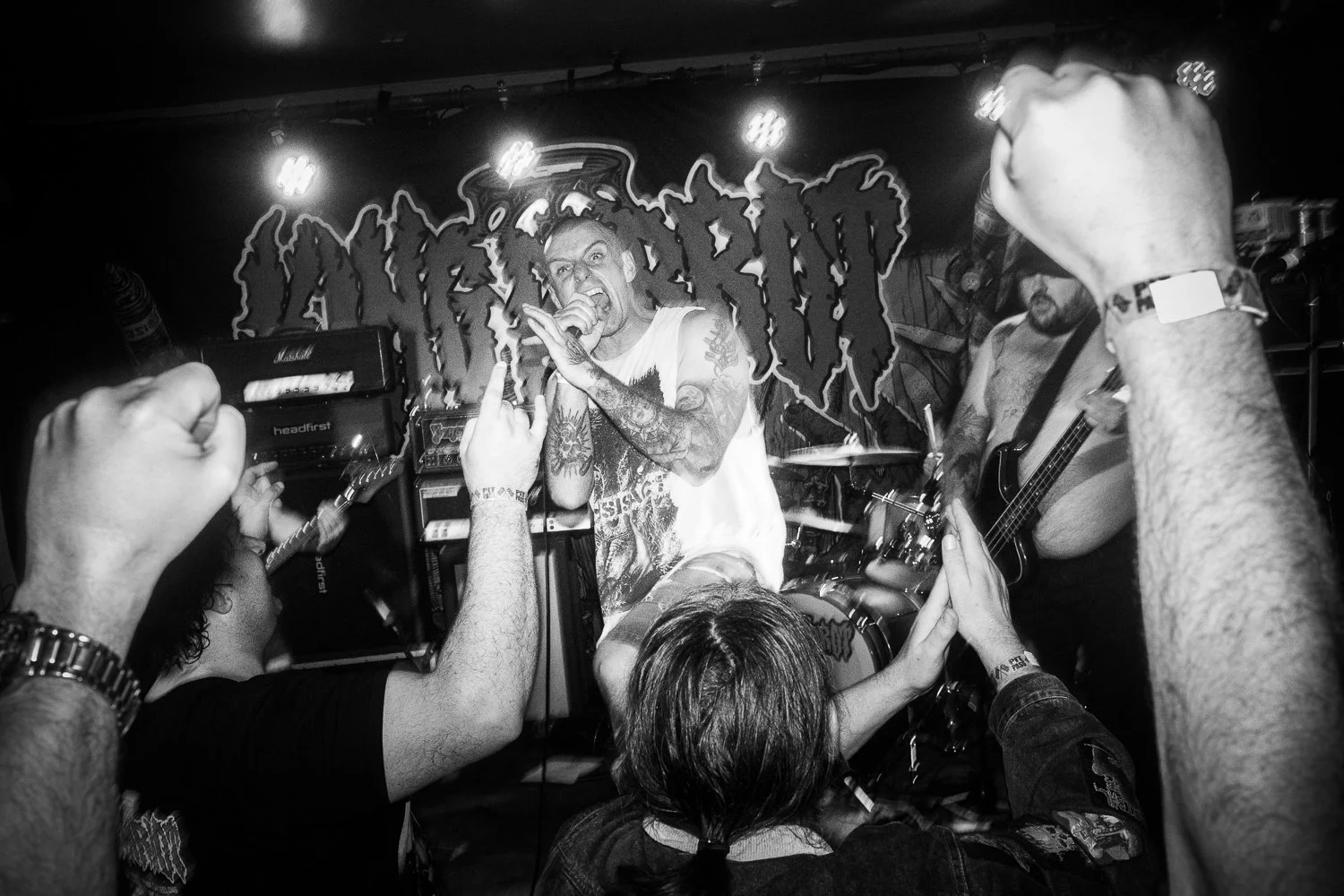 KP_Band_sm-6.jpg