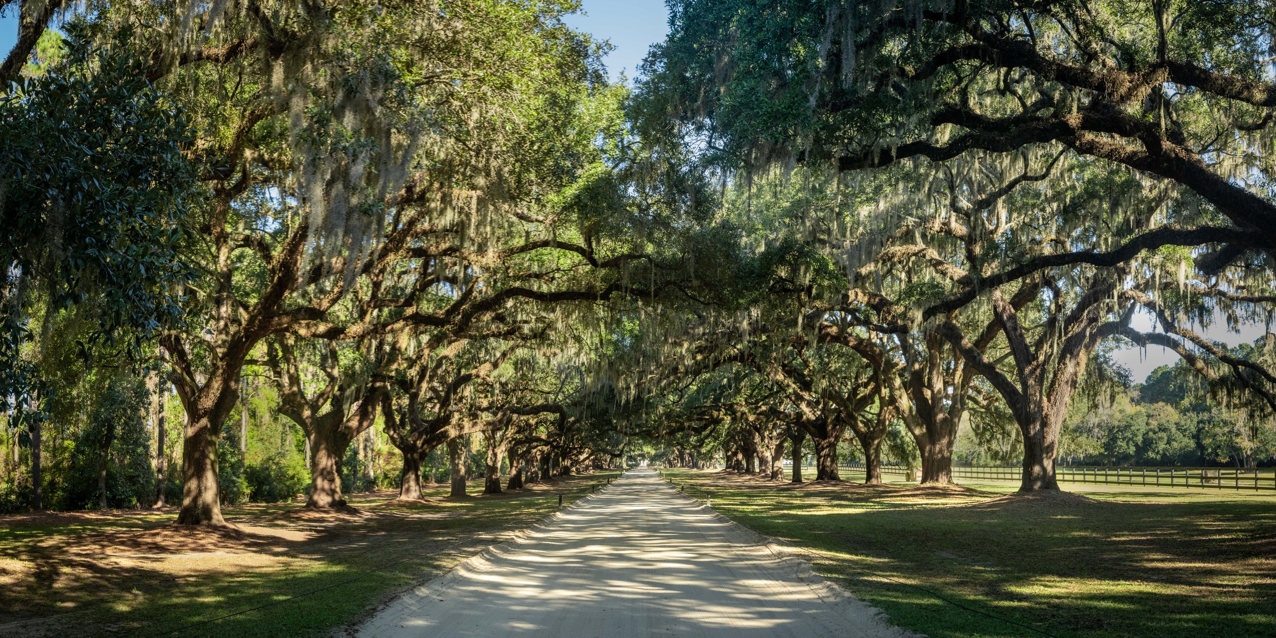 Avenue of the Oaks