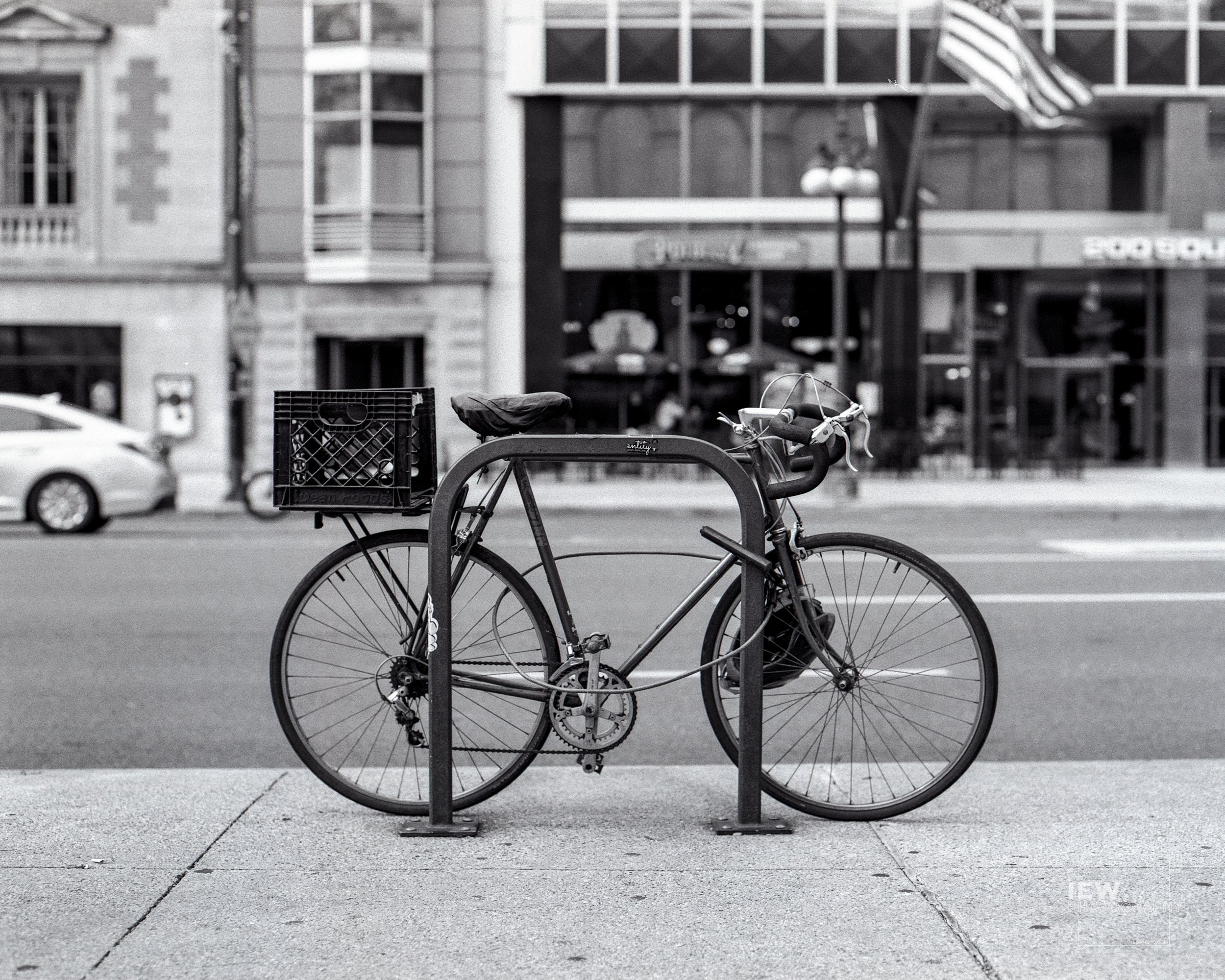 URBAN_WEB-12.jpg