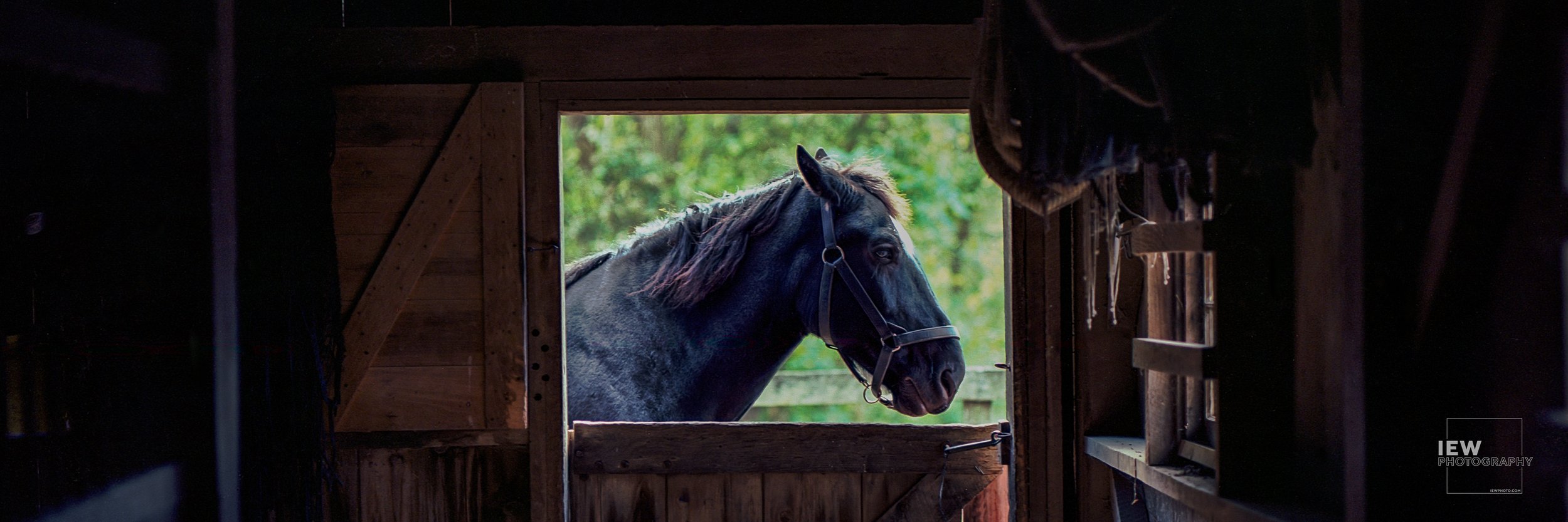 Stable Window