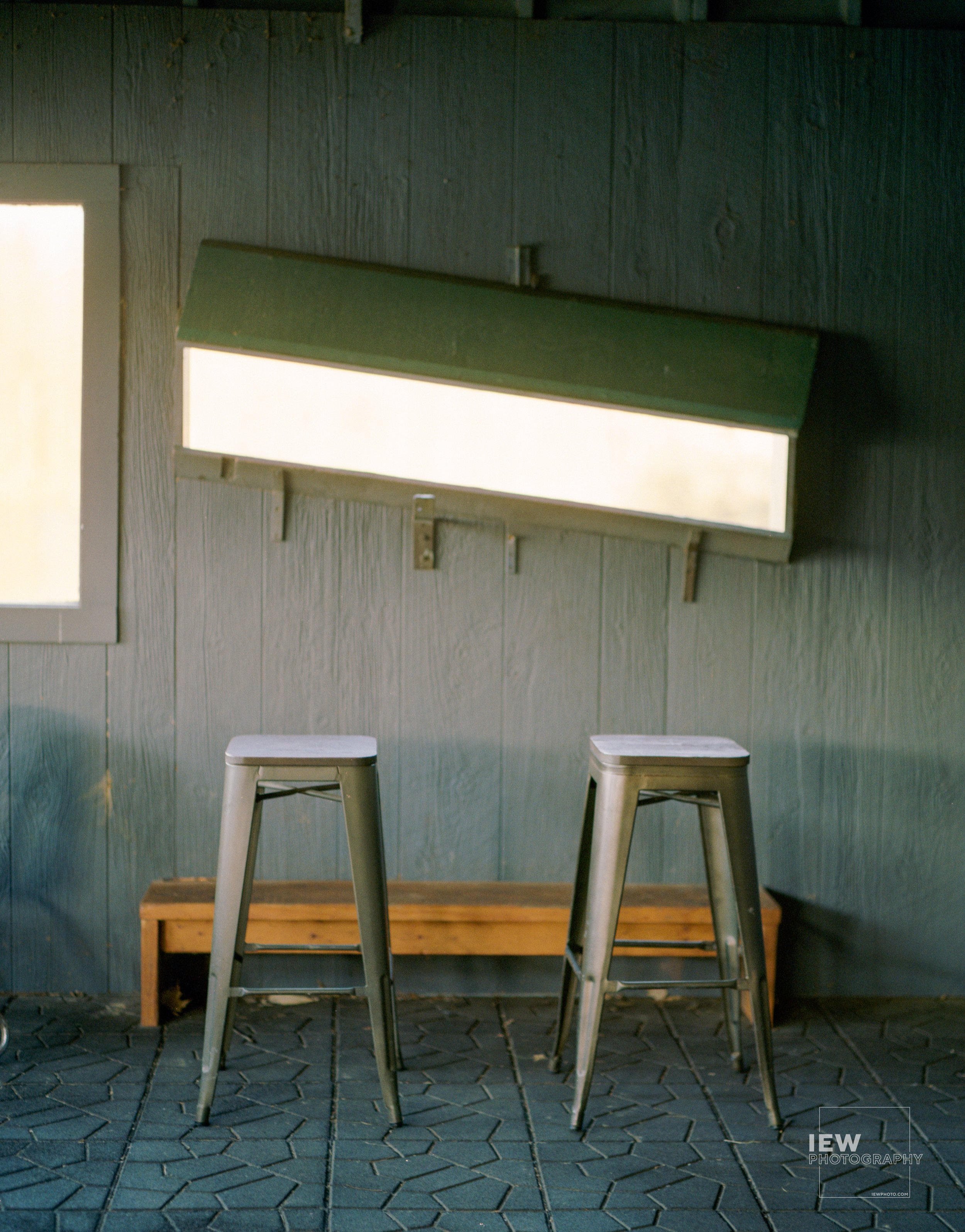 Birdwatcher's Window