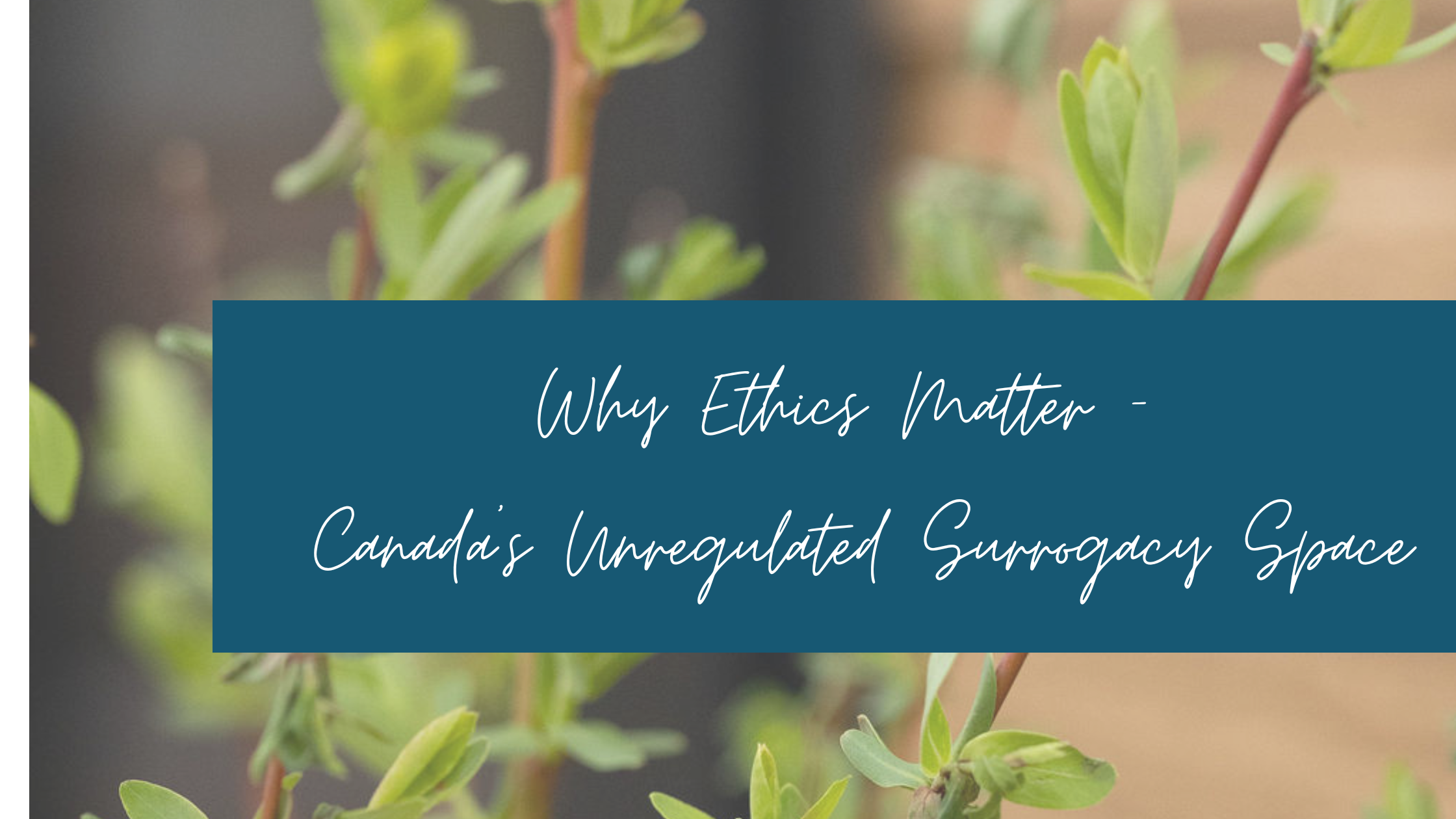 Why Ethics Matter Even More in Canada’s Unregulated Surrogacy Agency Space