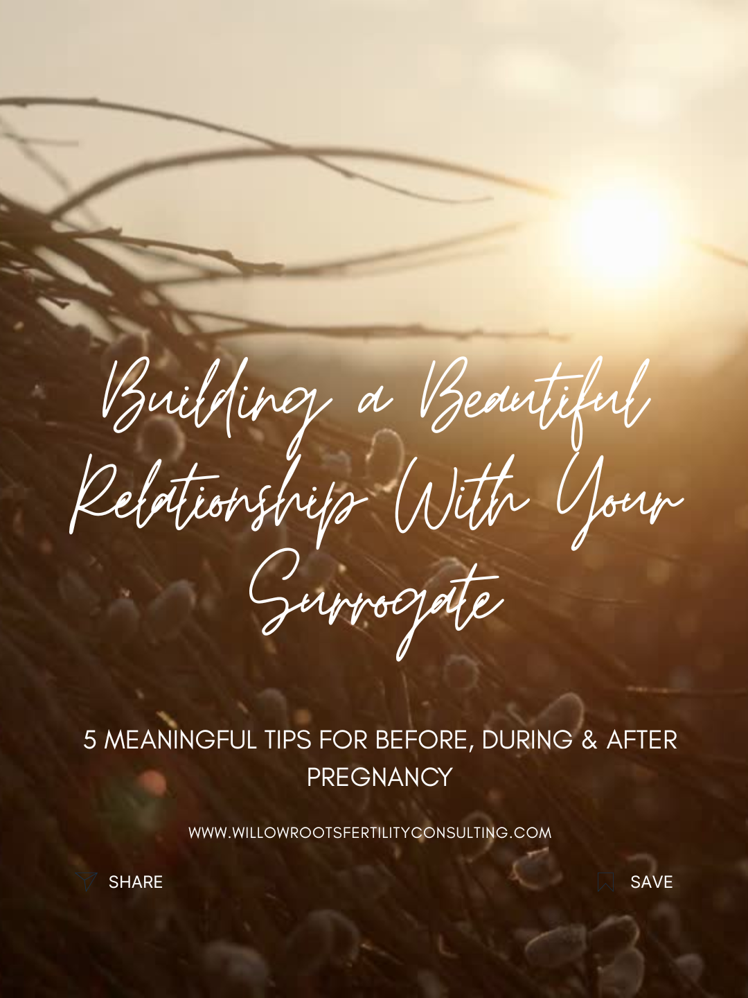 5 Tips for Building a Healthy Relationship With Your Surrogate — Before, During &amp; After Pregnancy