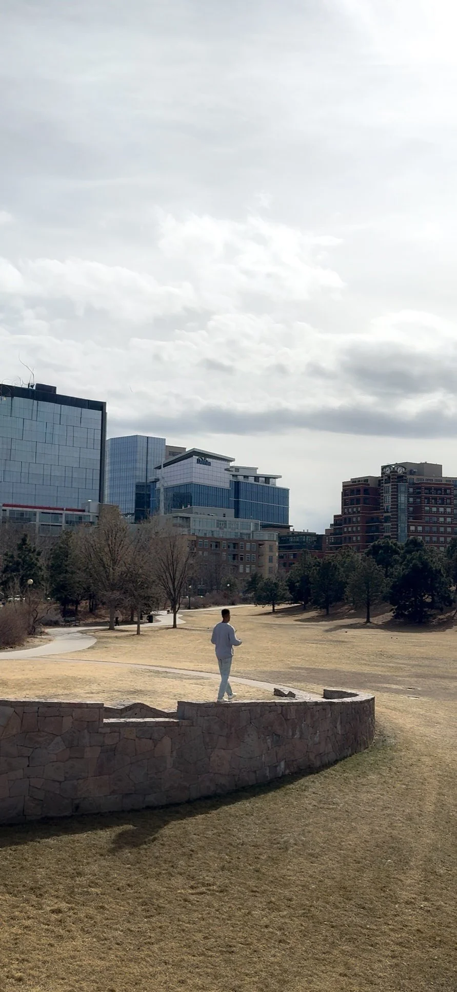 Are We Getting Dumber? What Gen Z's IQ Decline Says About Our Brains