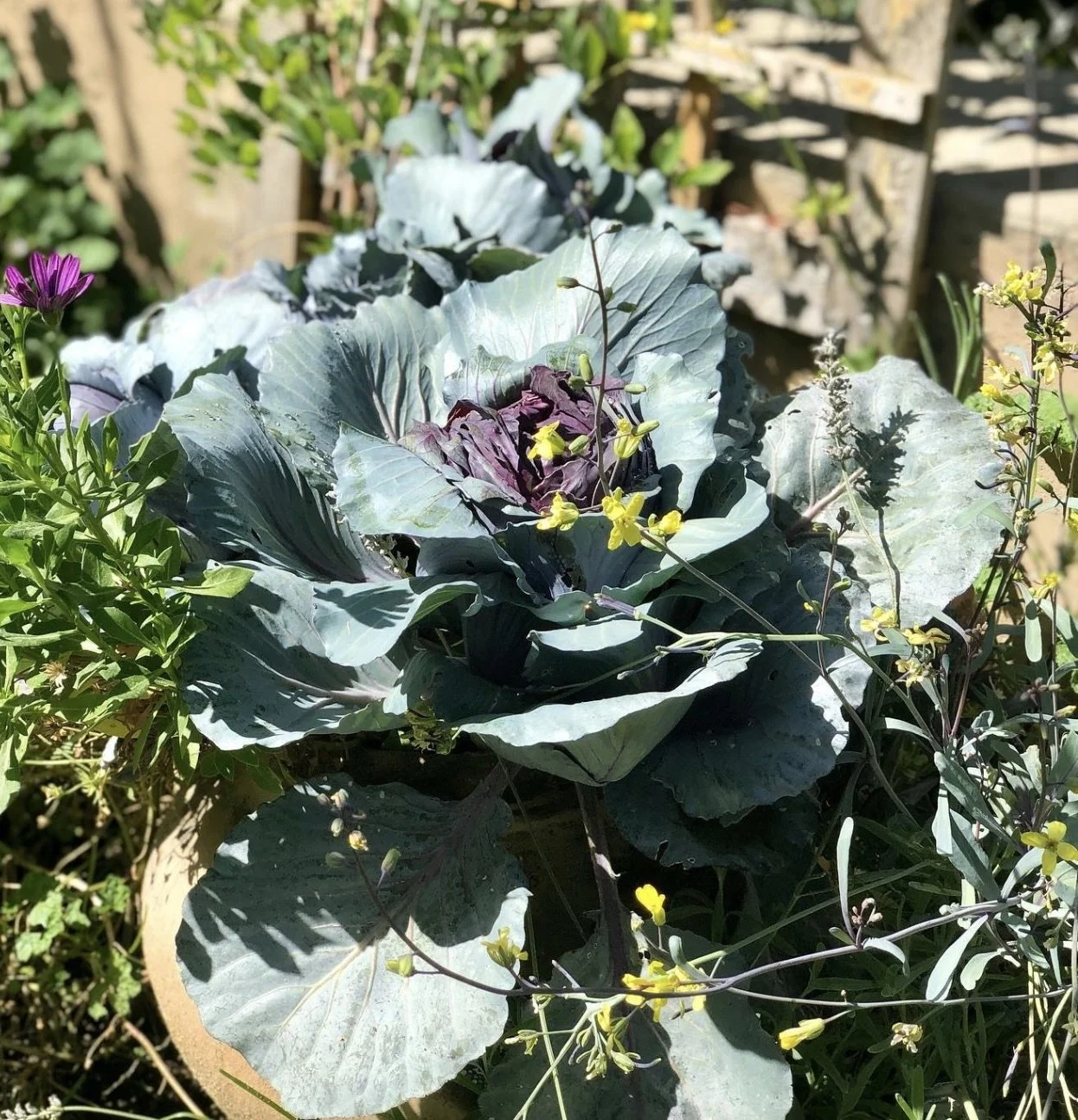 Image 12-27-24 at 12.05 AM.jpeg