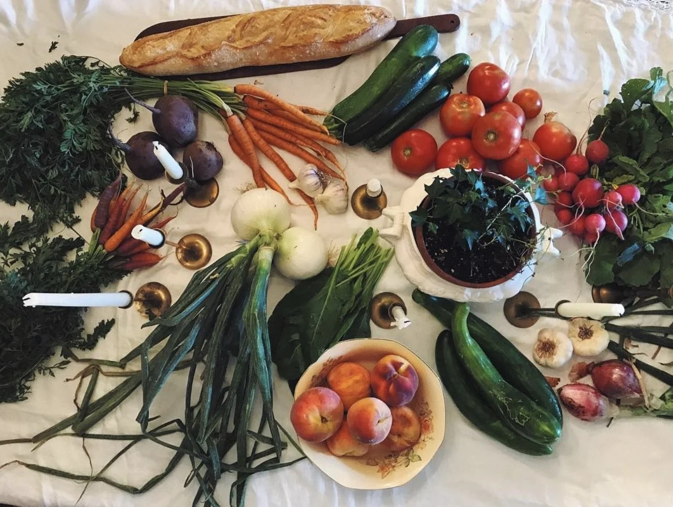 Image 12-26-24 at 11.06 PM (1).jpeg