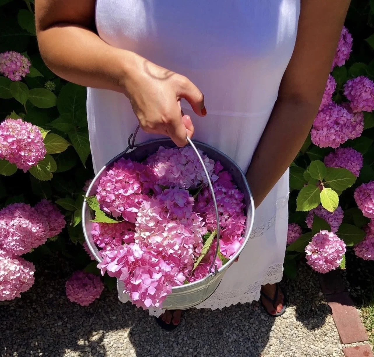 Image 12-26-24 at 11.04 PM.jpeg