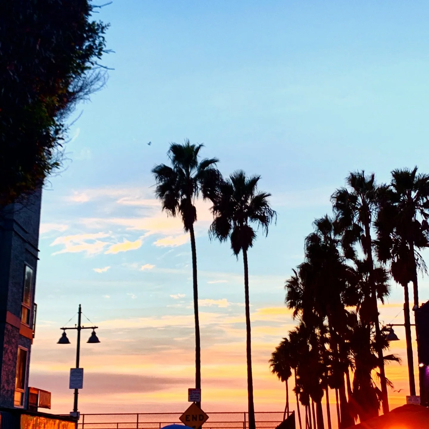 Golden #la #venice #venicebeach #california