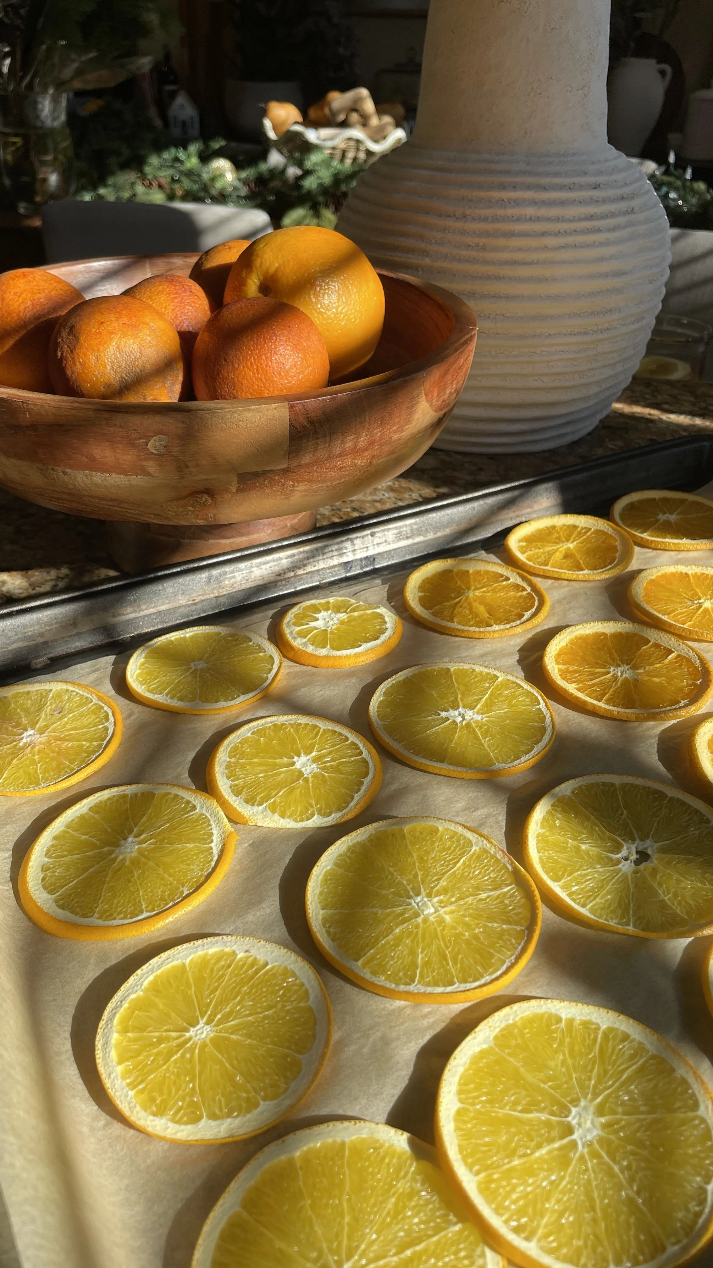 Morning Orange Glow.JPG