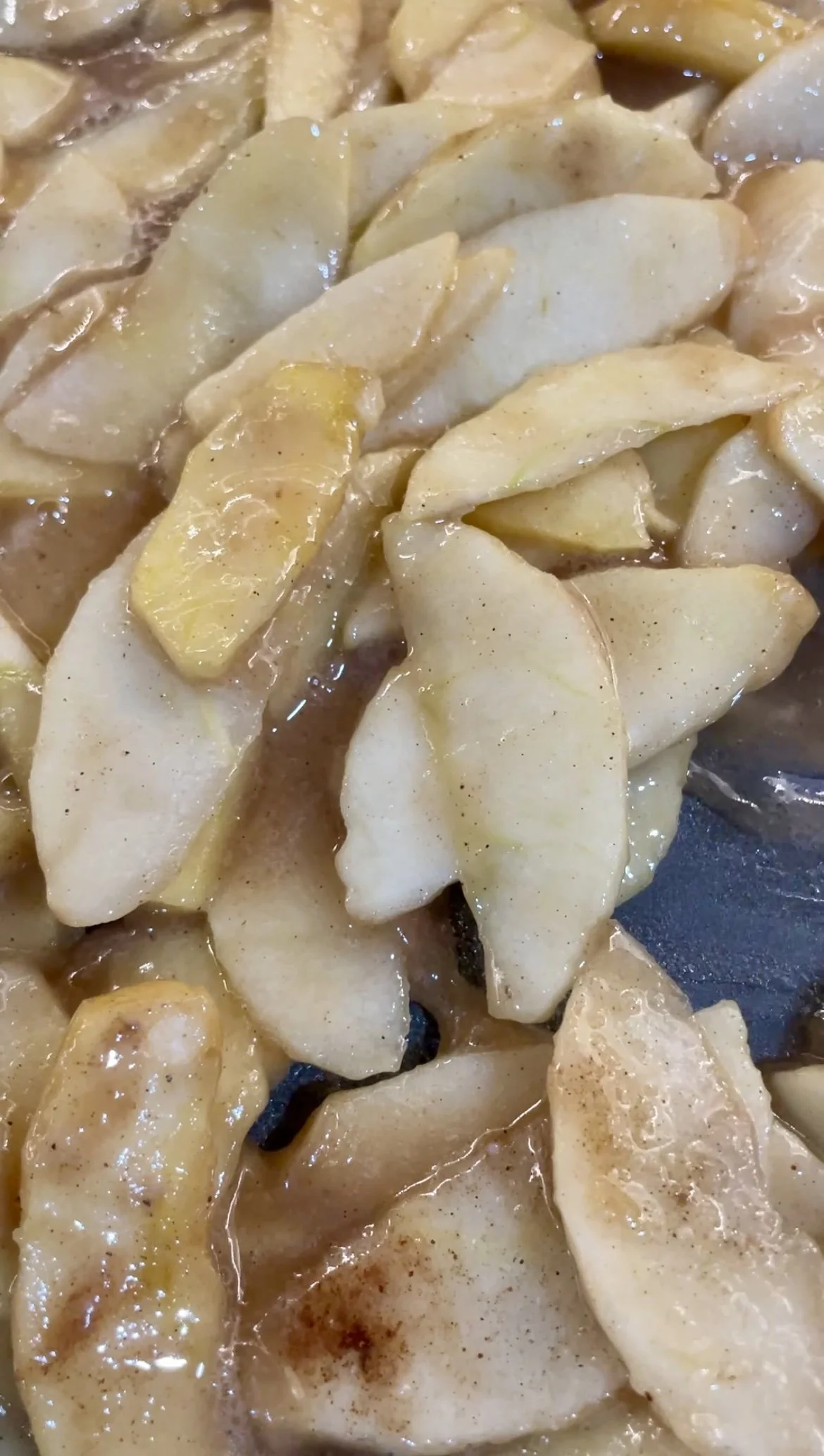 Apple Galette Mixture.jpg