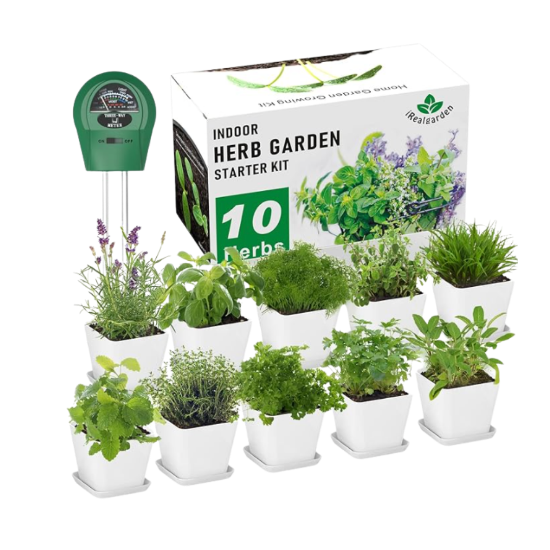 Indoor Herb Garden