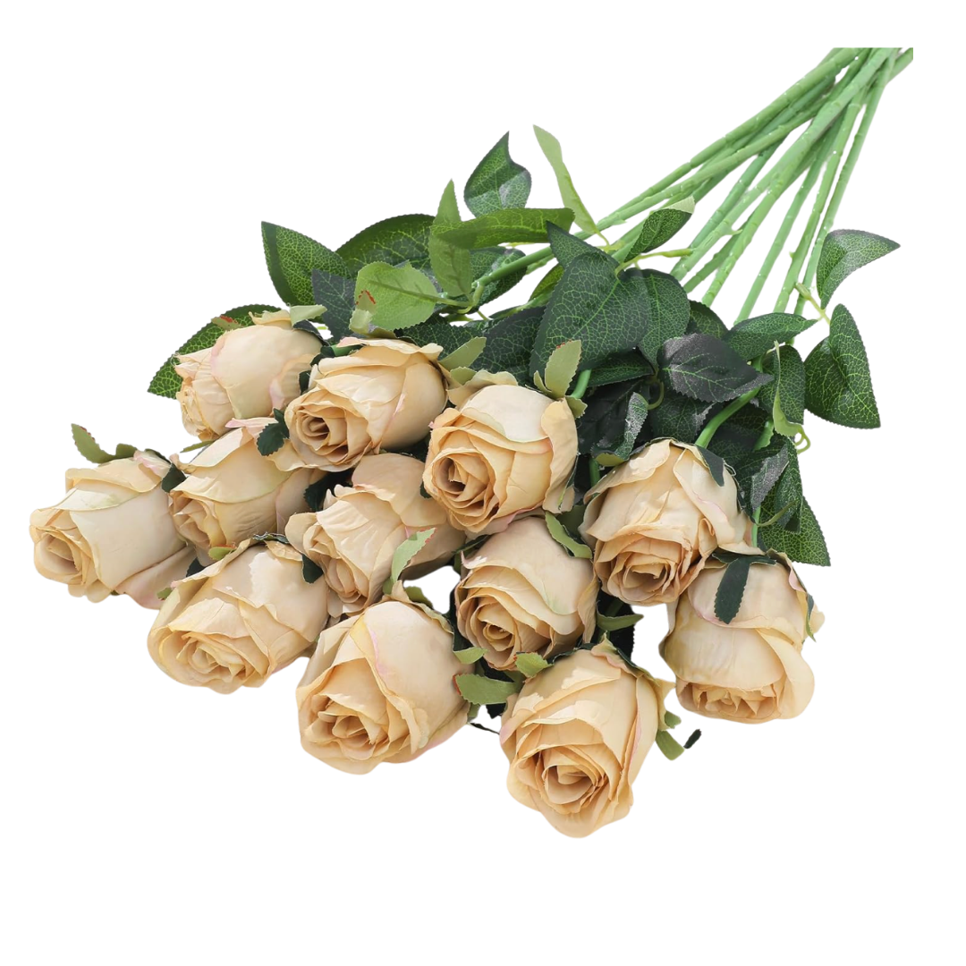 Champagne Roses 