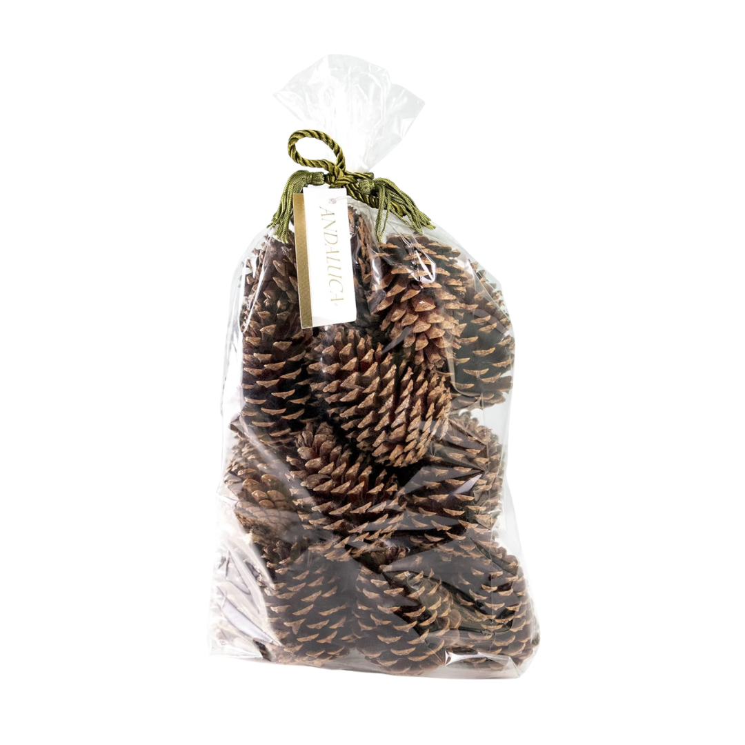 Pinecones