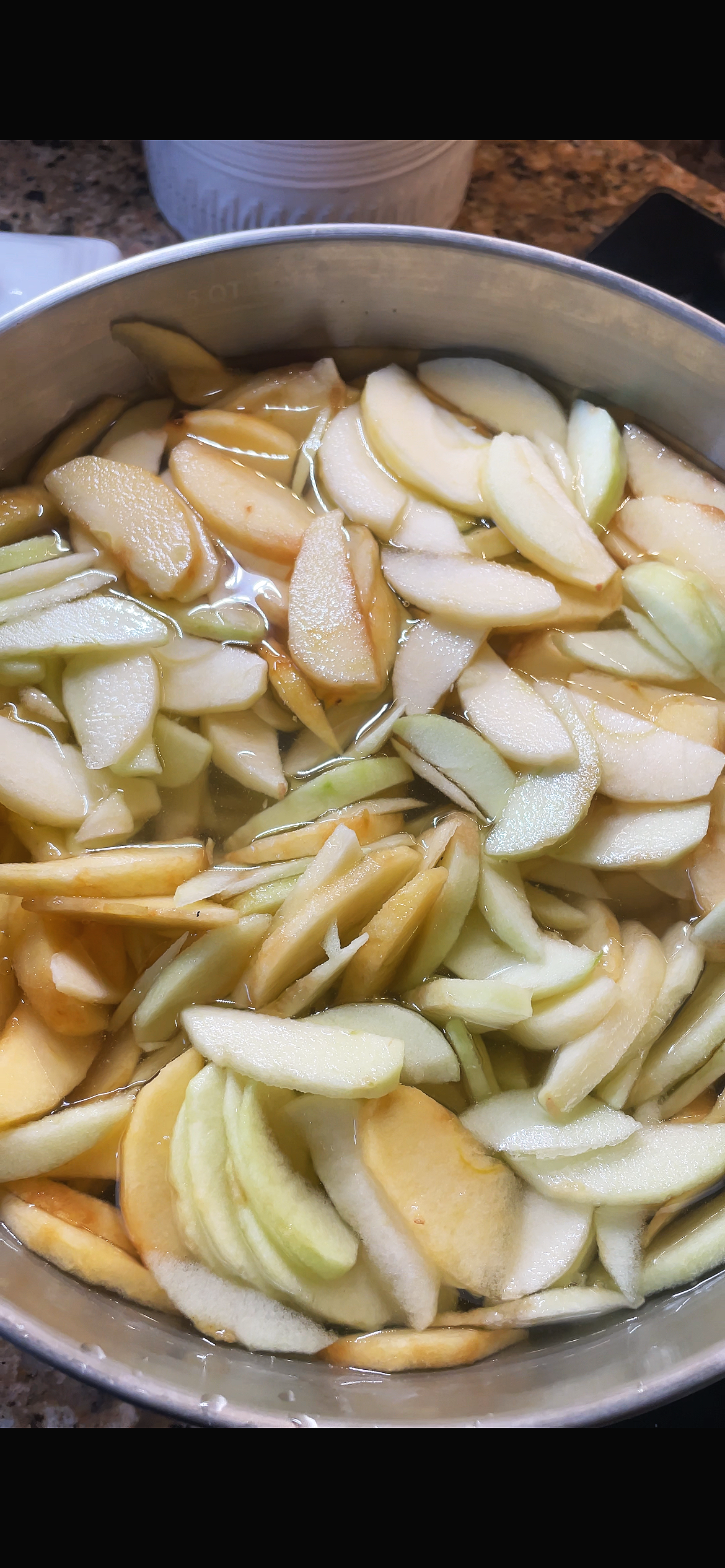 Apples+in+water.png